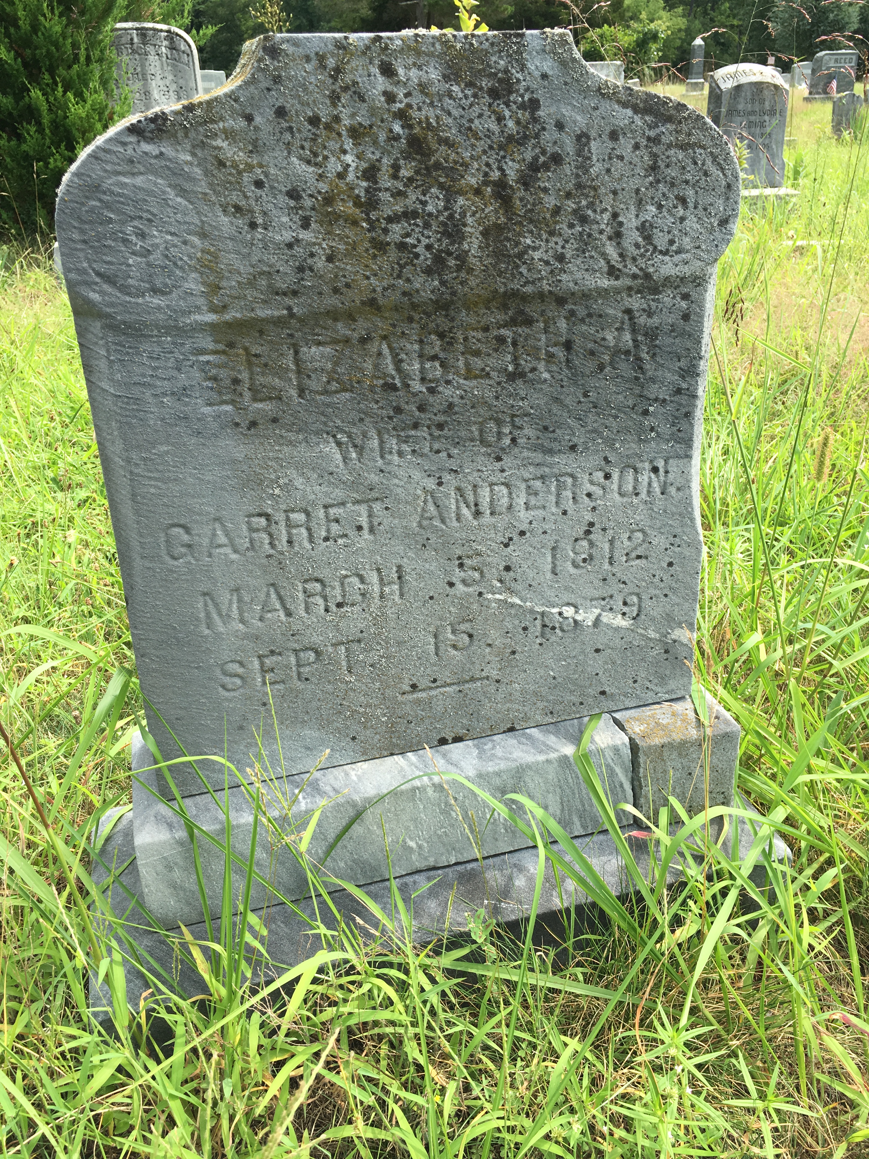 Photographed 16 August 2016.