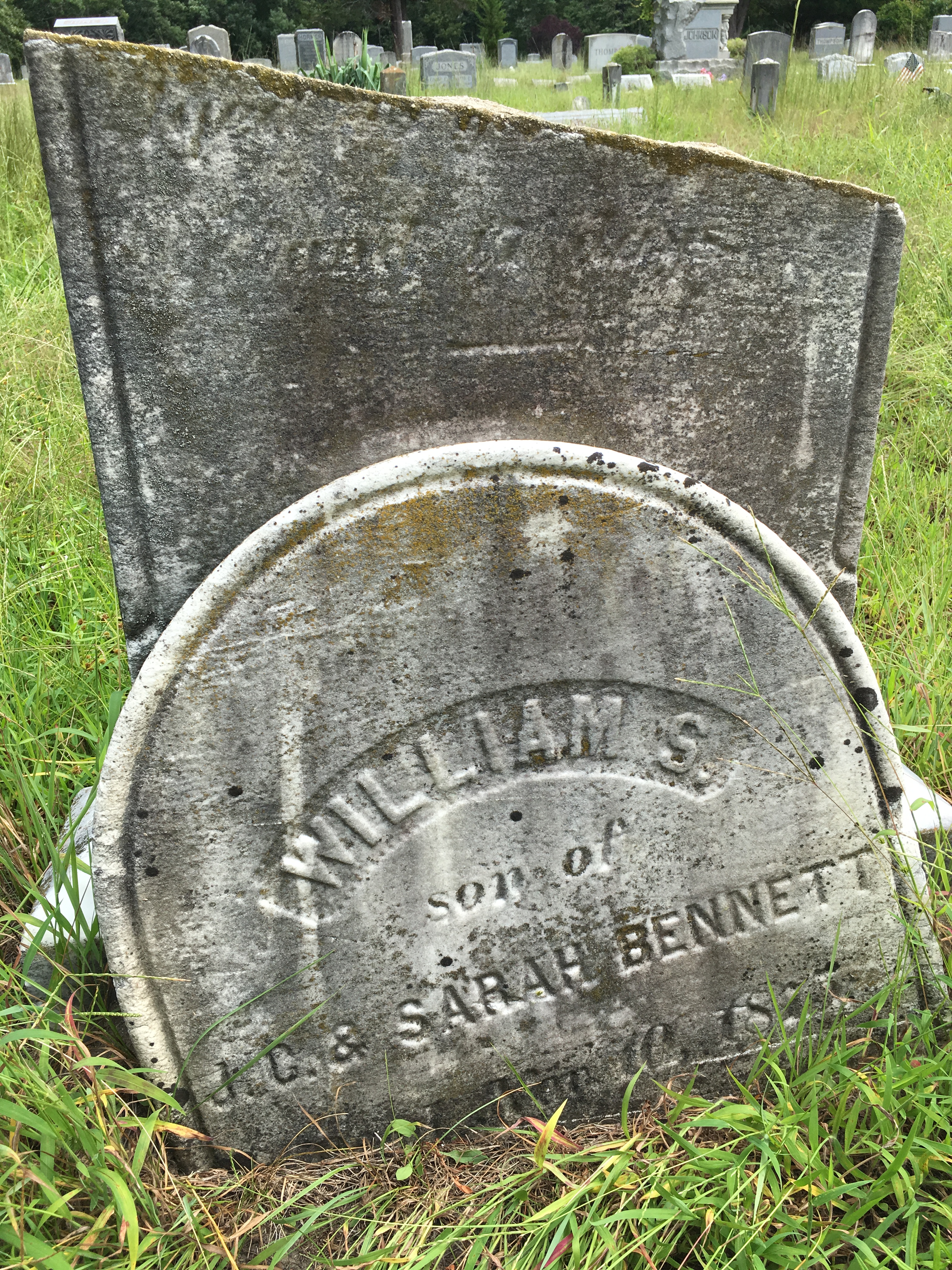 Photographed 16 August 2016.