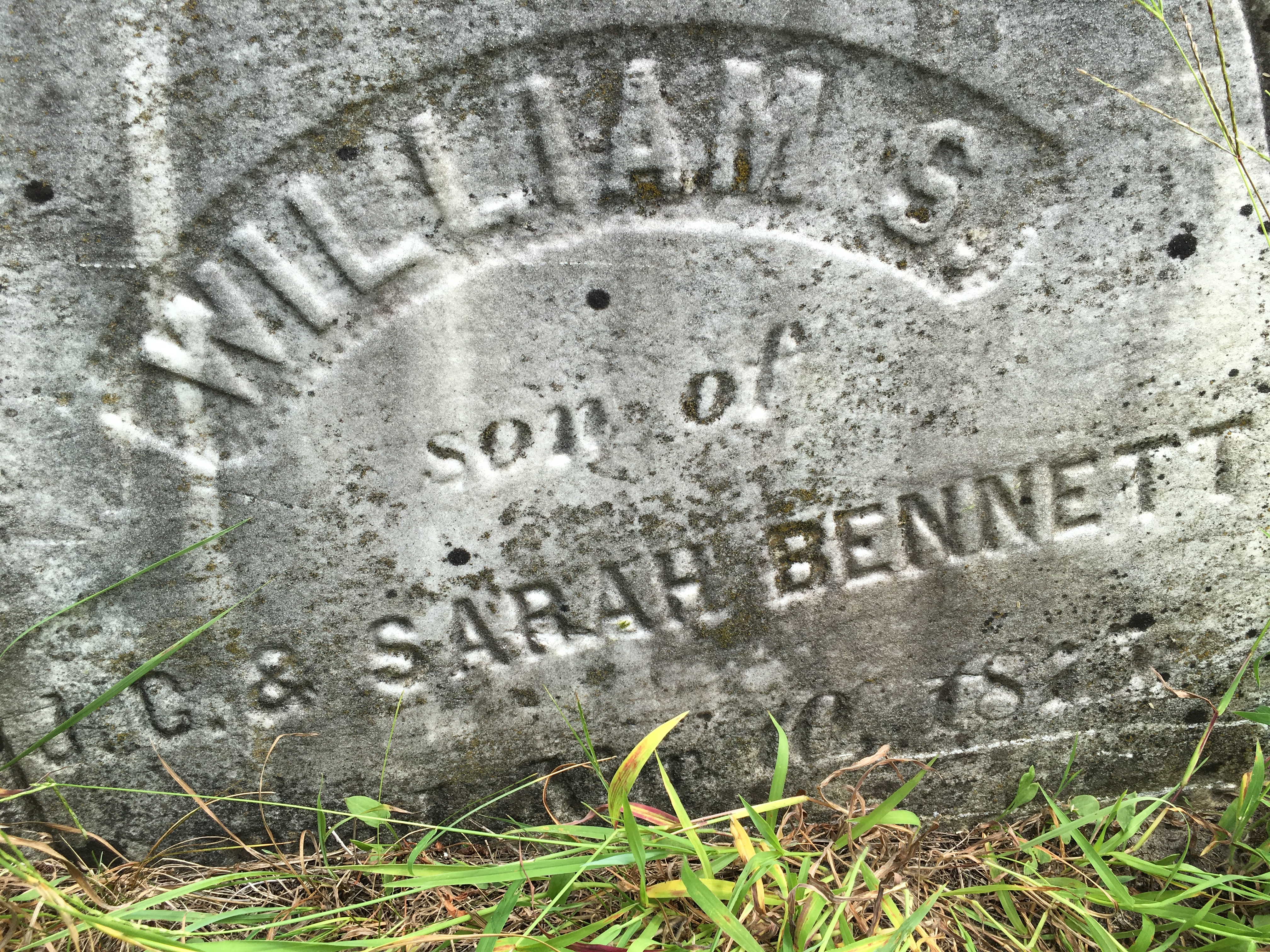 Photographed 16 August 2016.