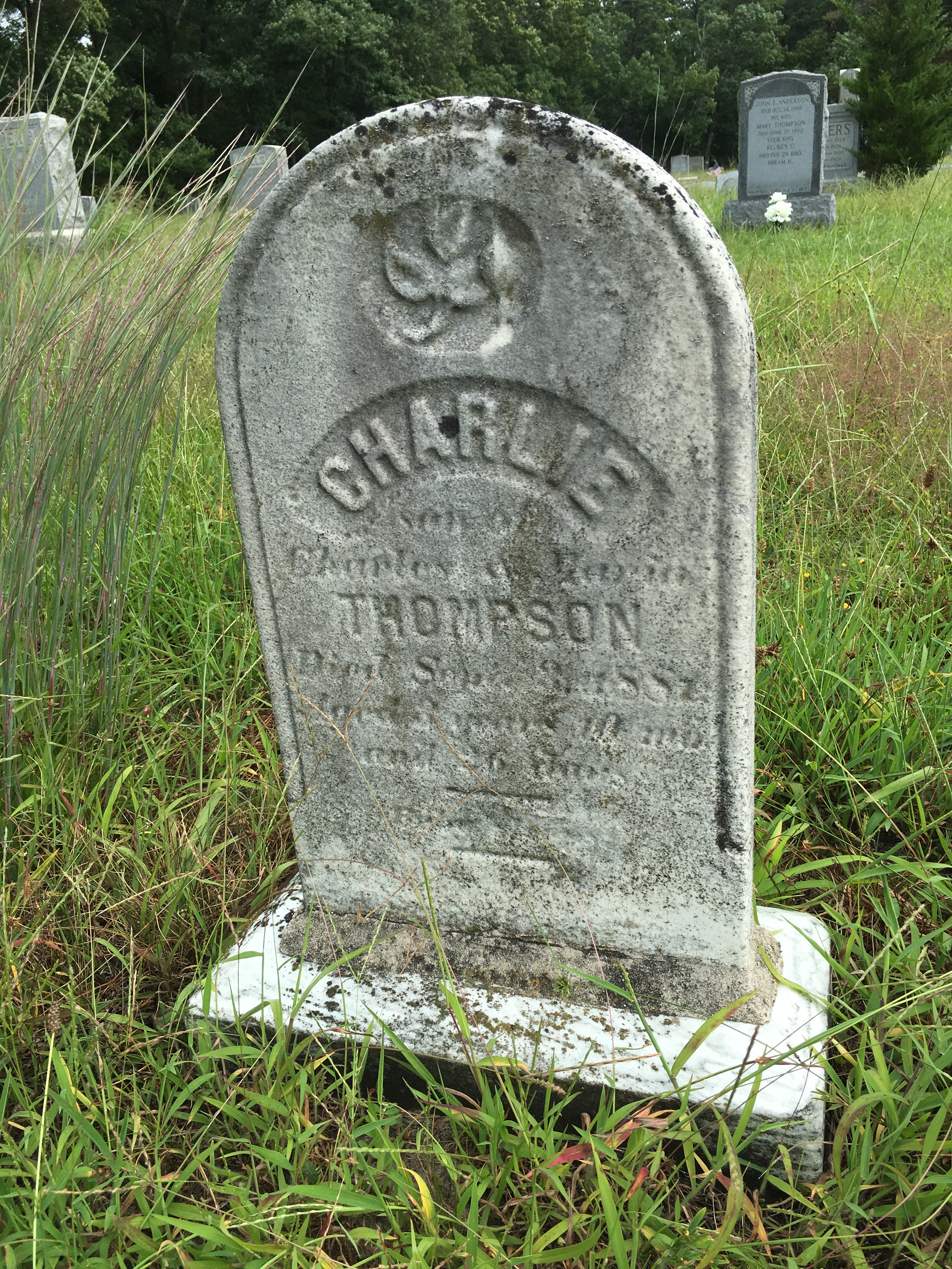 Photographed 16 August 2016.