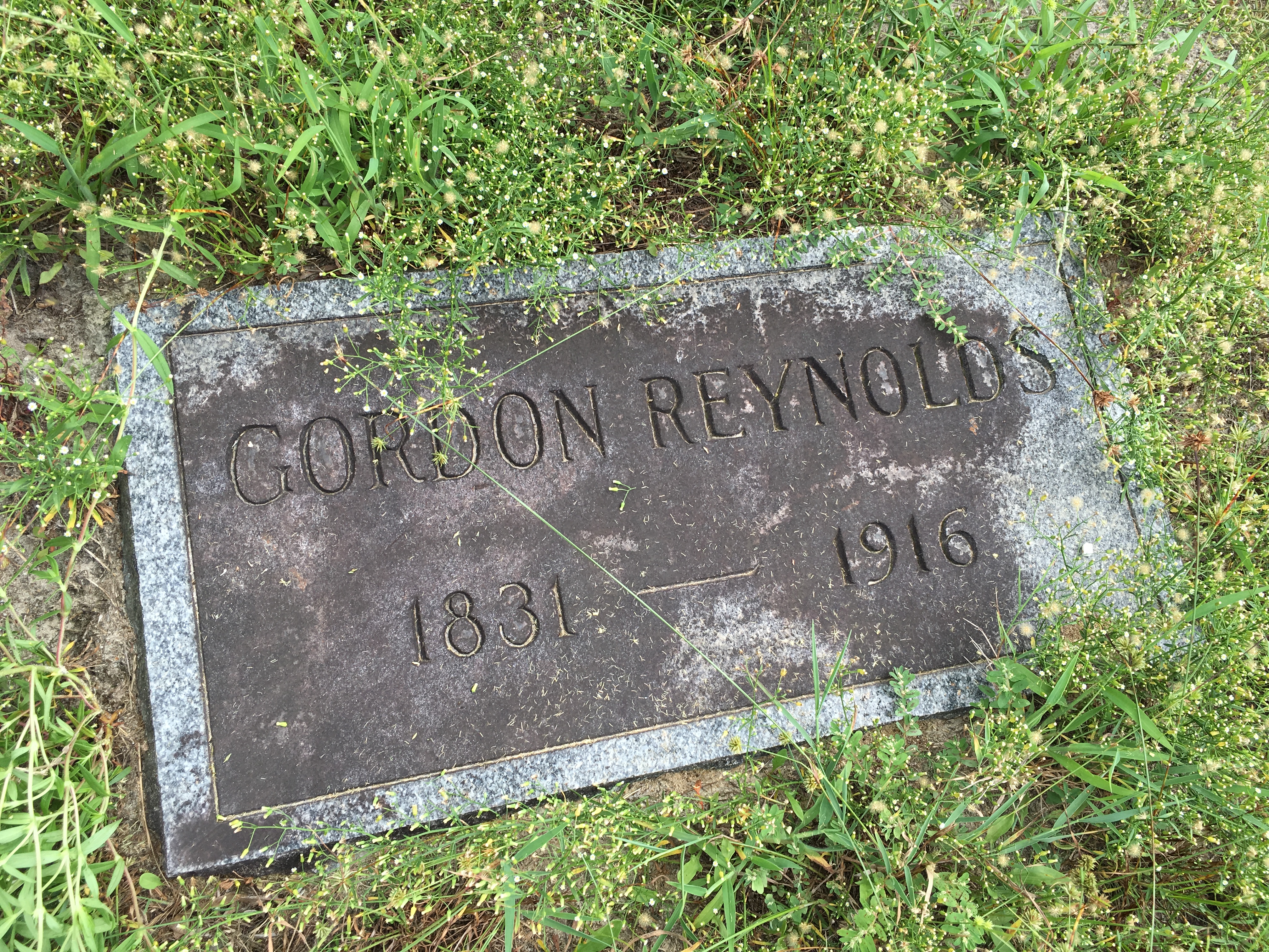 Photographed 16 August 2016.