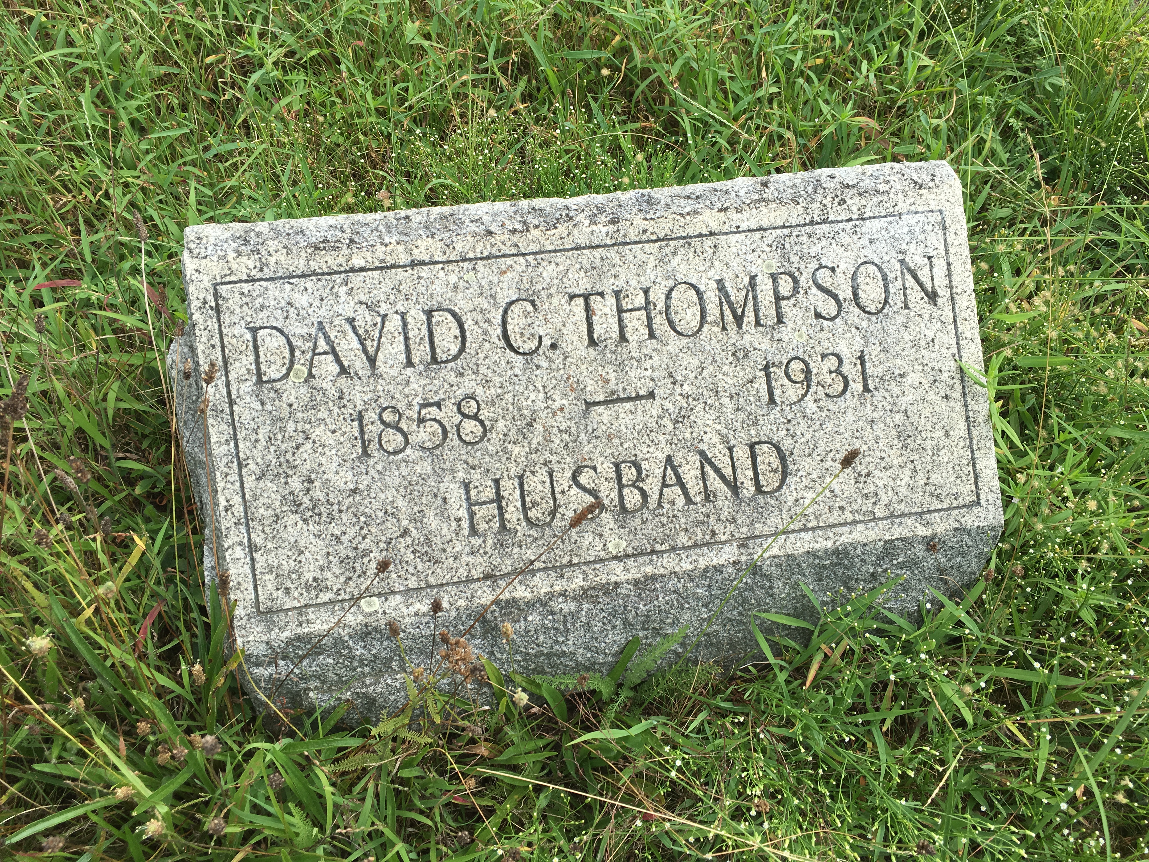 Photographed 16 August 2016.