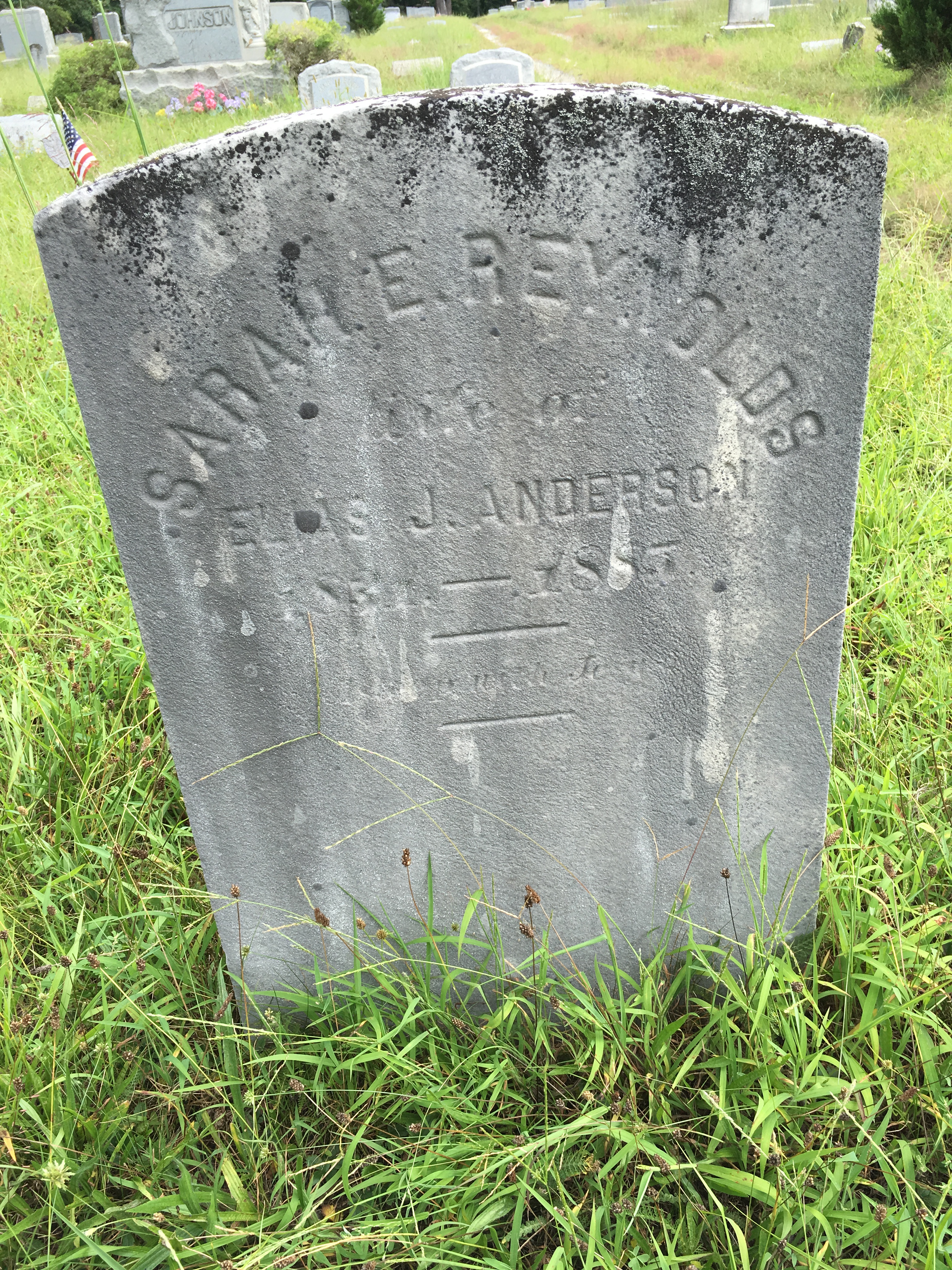 Photographed 16 August 2016.