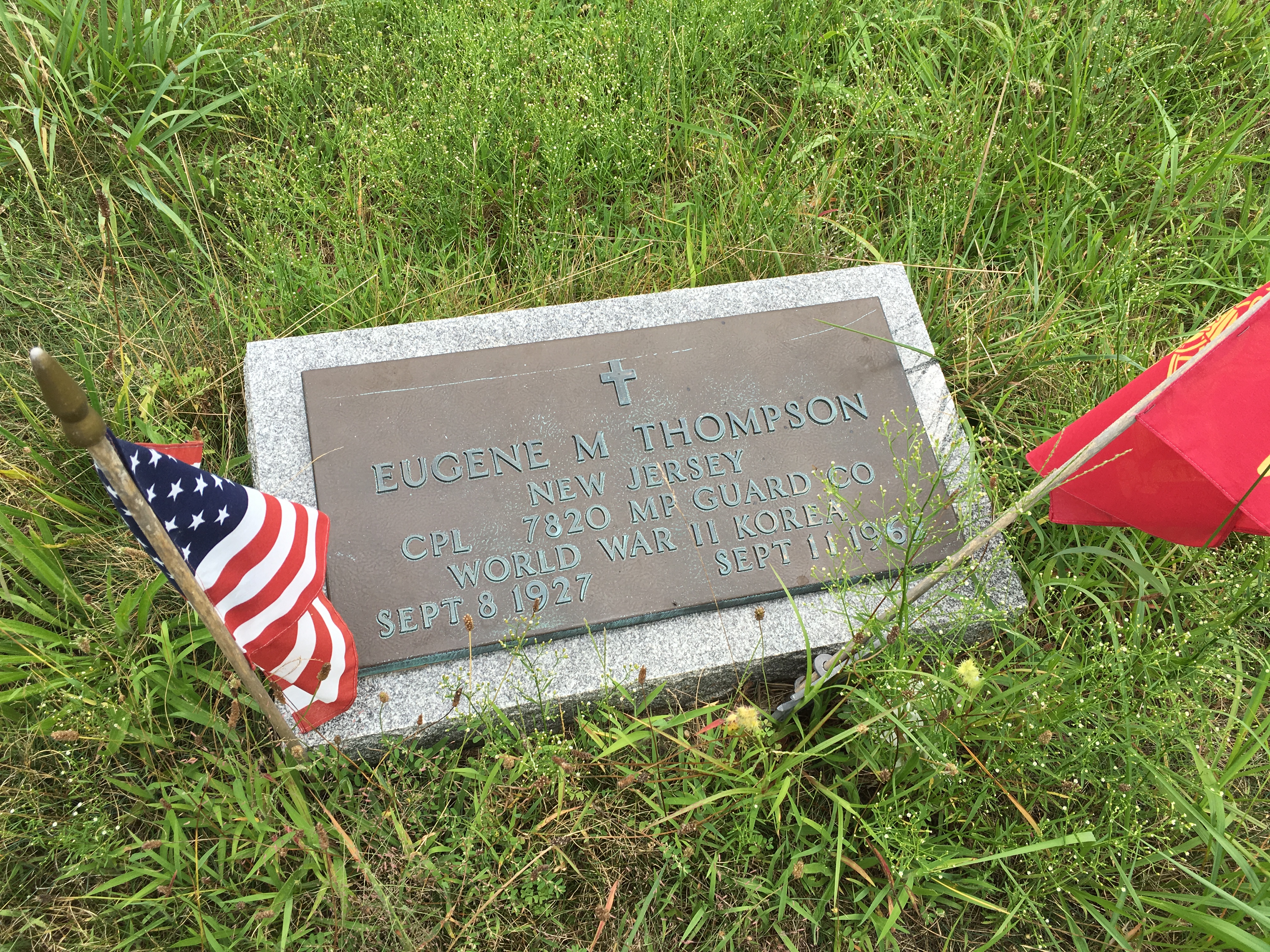 Photographed 16 August 2016.