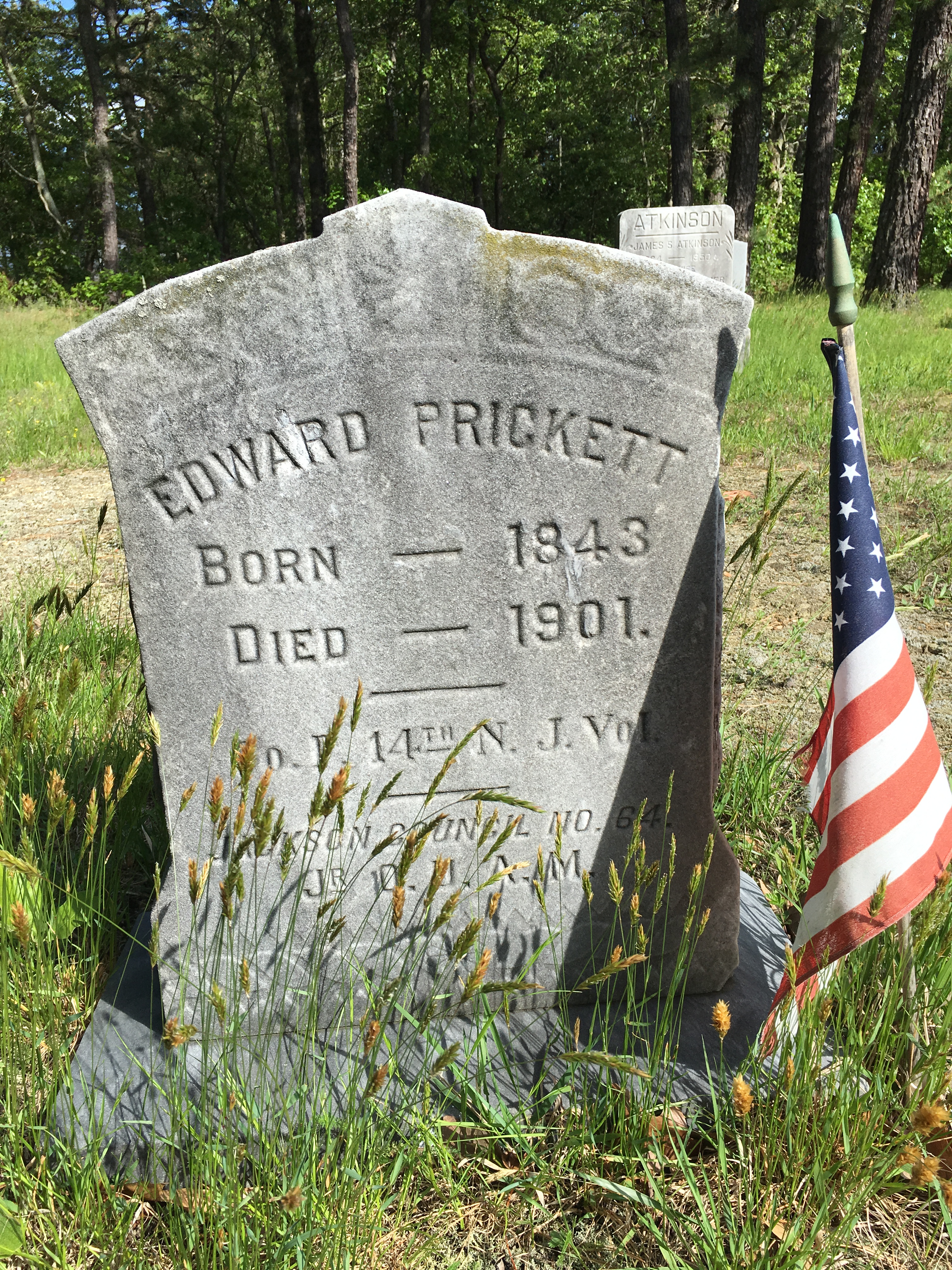 Photographed 23 May 2018.