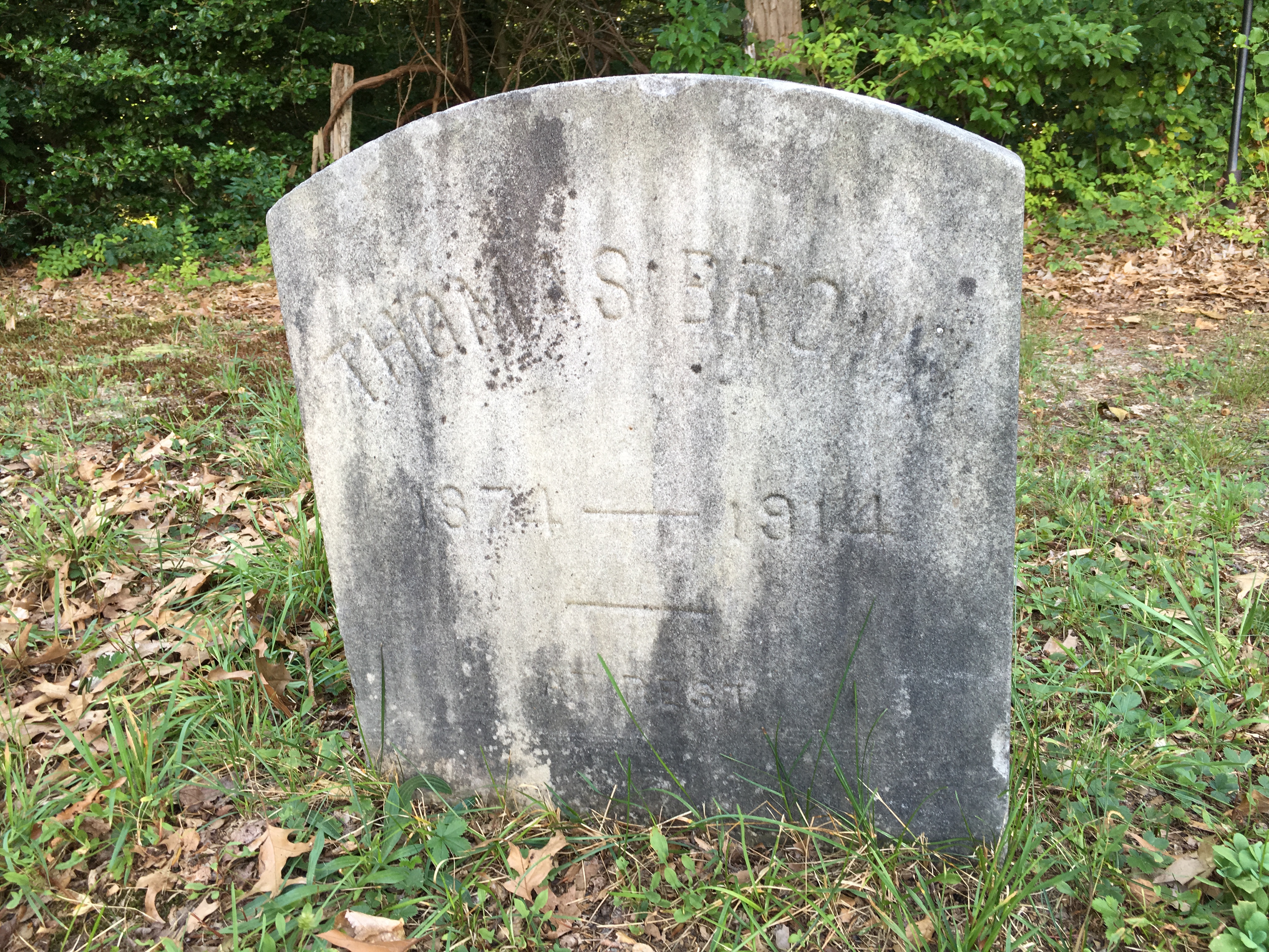 Photographed 16 August 2016.