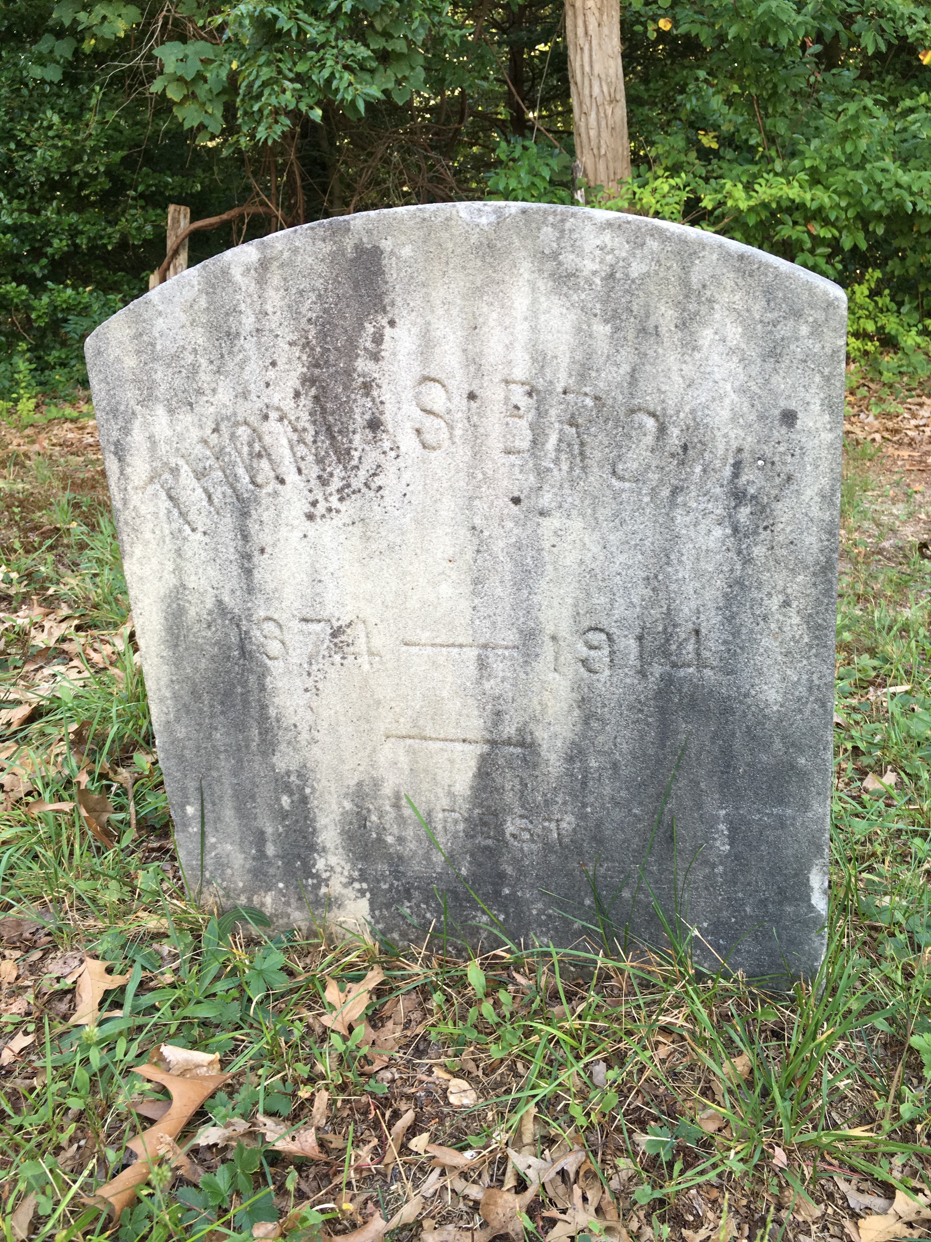 Photographed 16 August 2016.