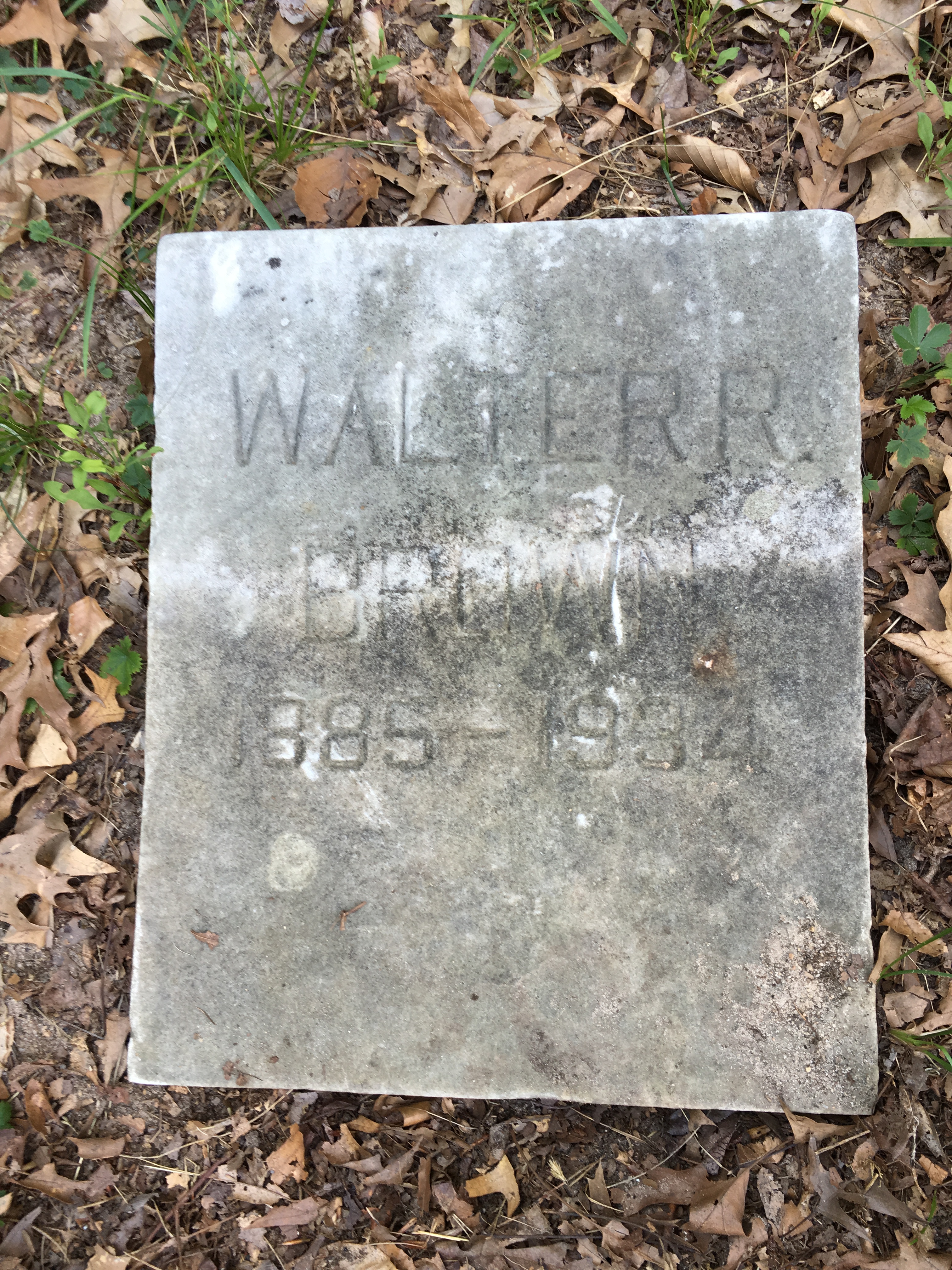 Photographed 16 August 2016.