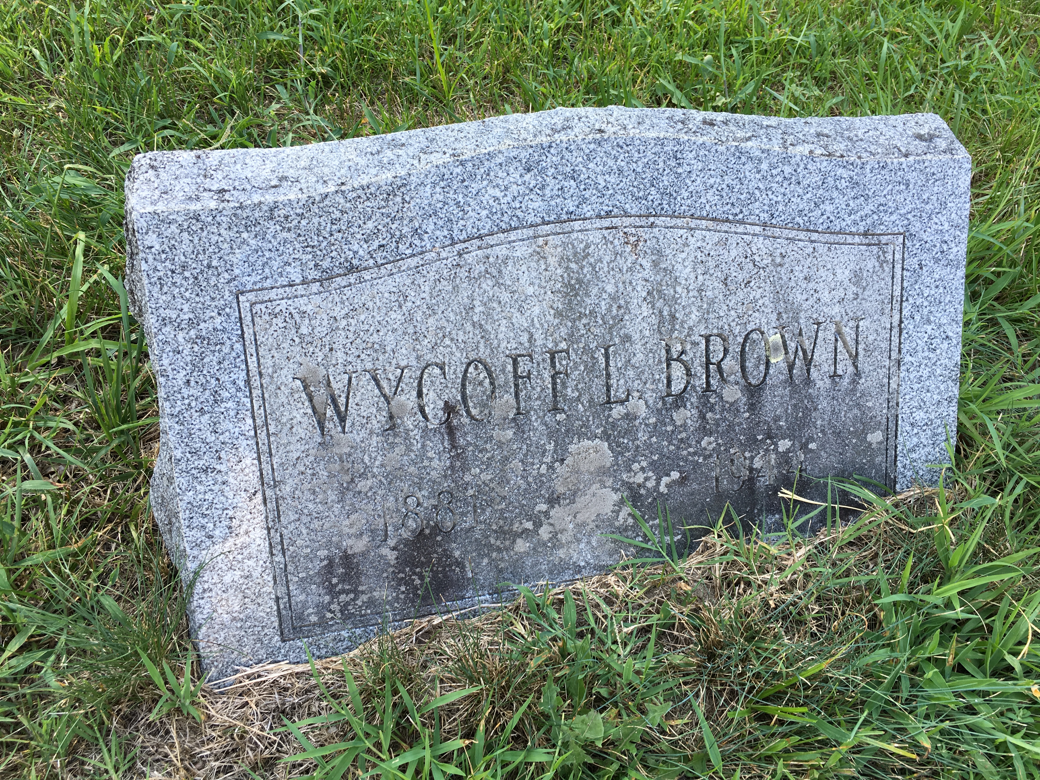 Photographed 16 August 2016.