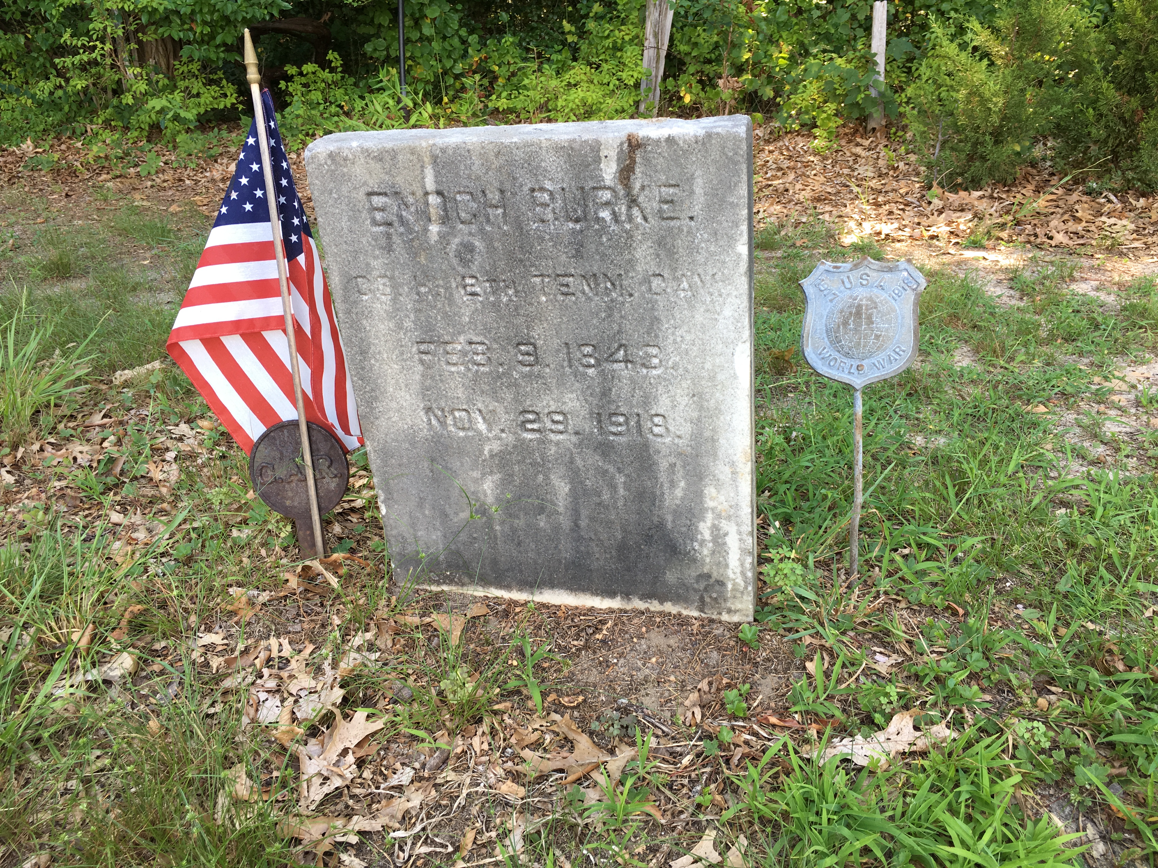 Photographed 16 August 2016.