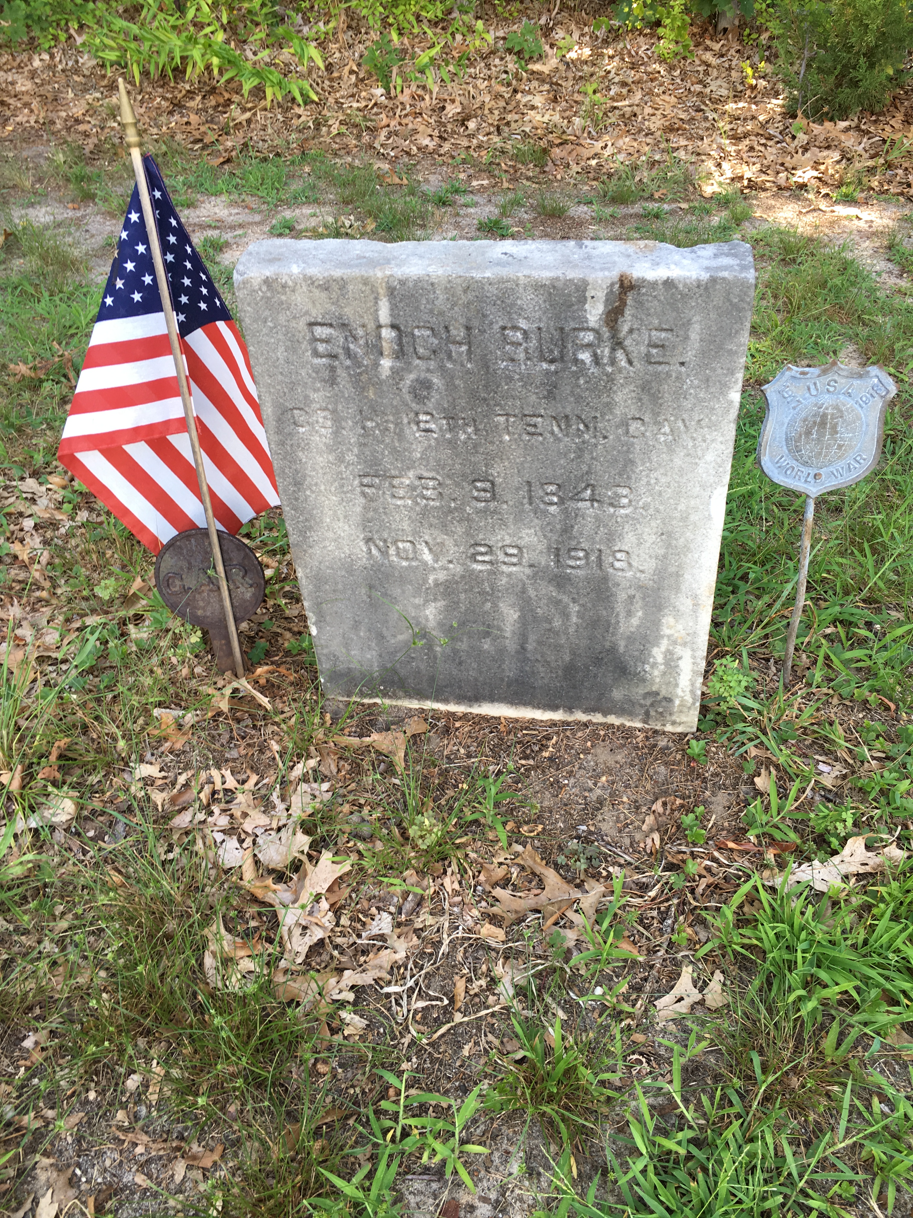 Photographed 16 August 2016.