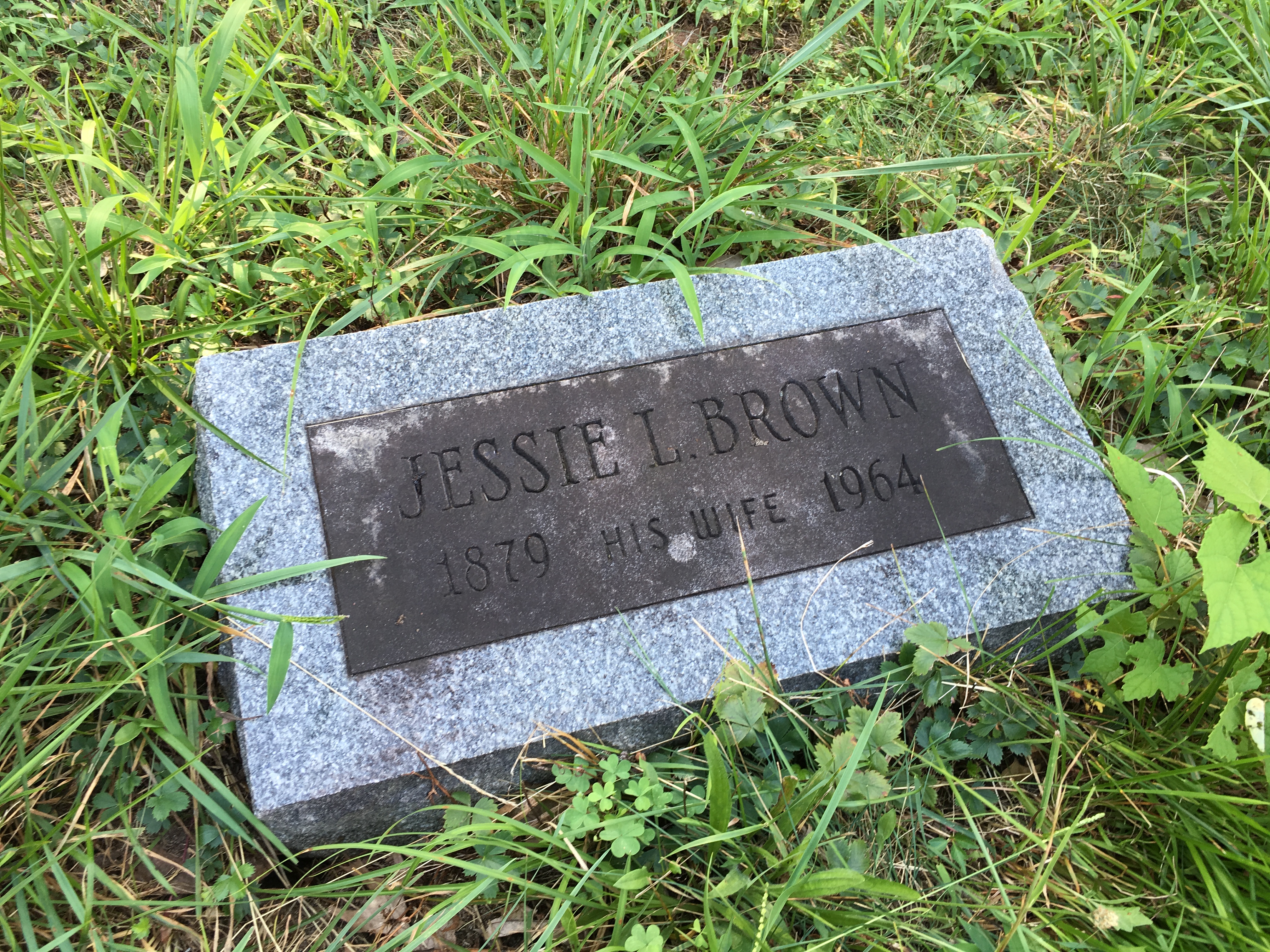 Photographed 16 August 2016.