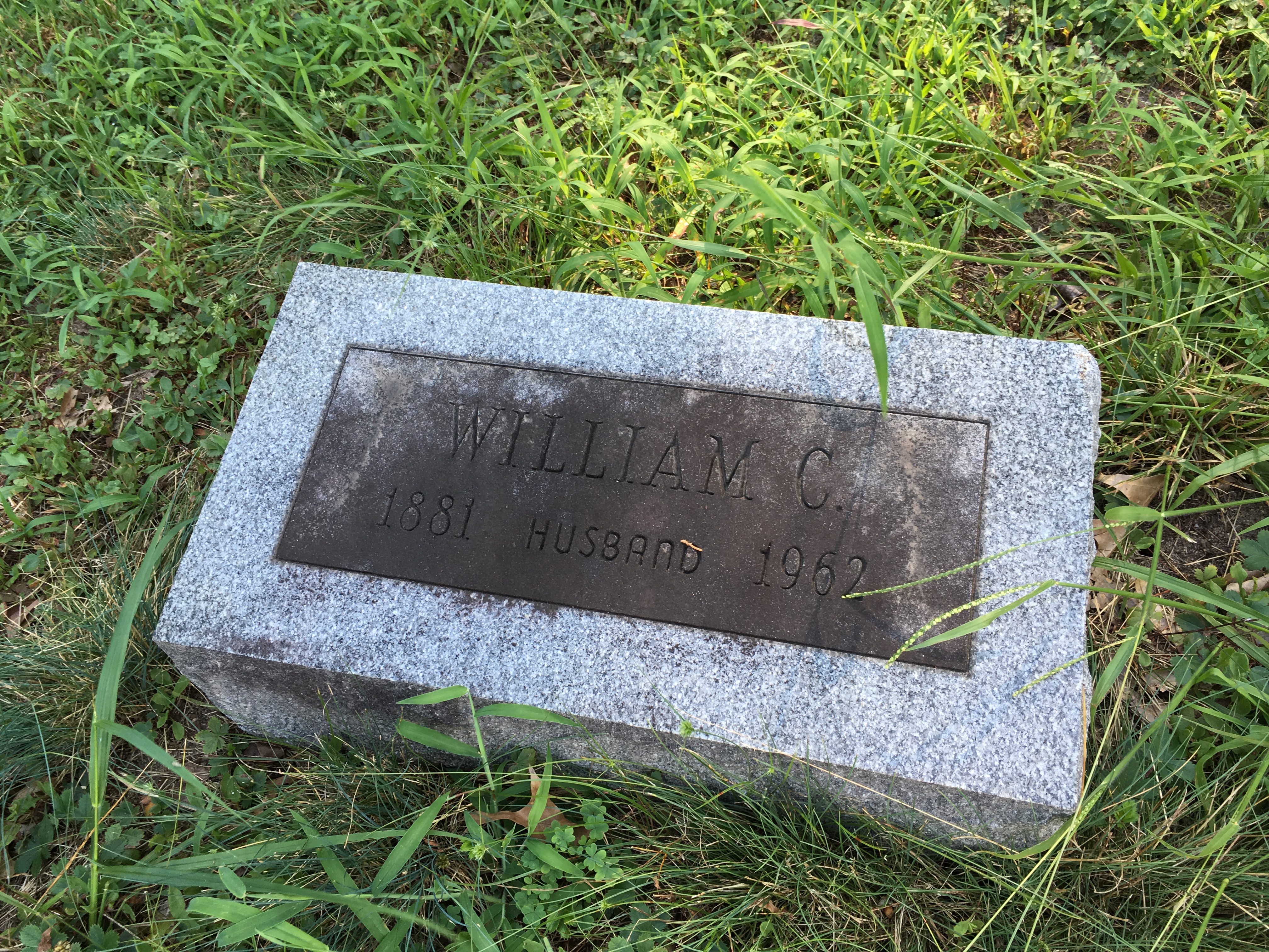 Photographed 16 August 2016.