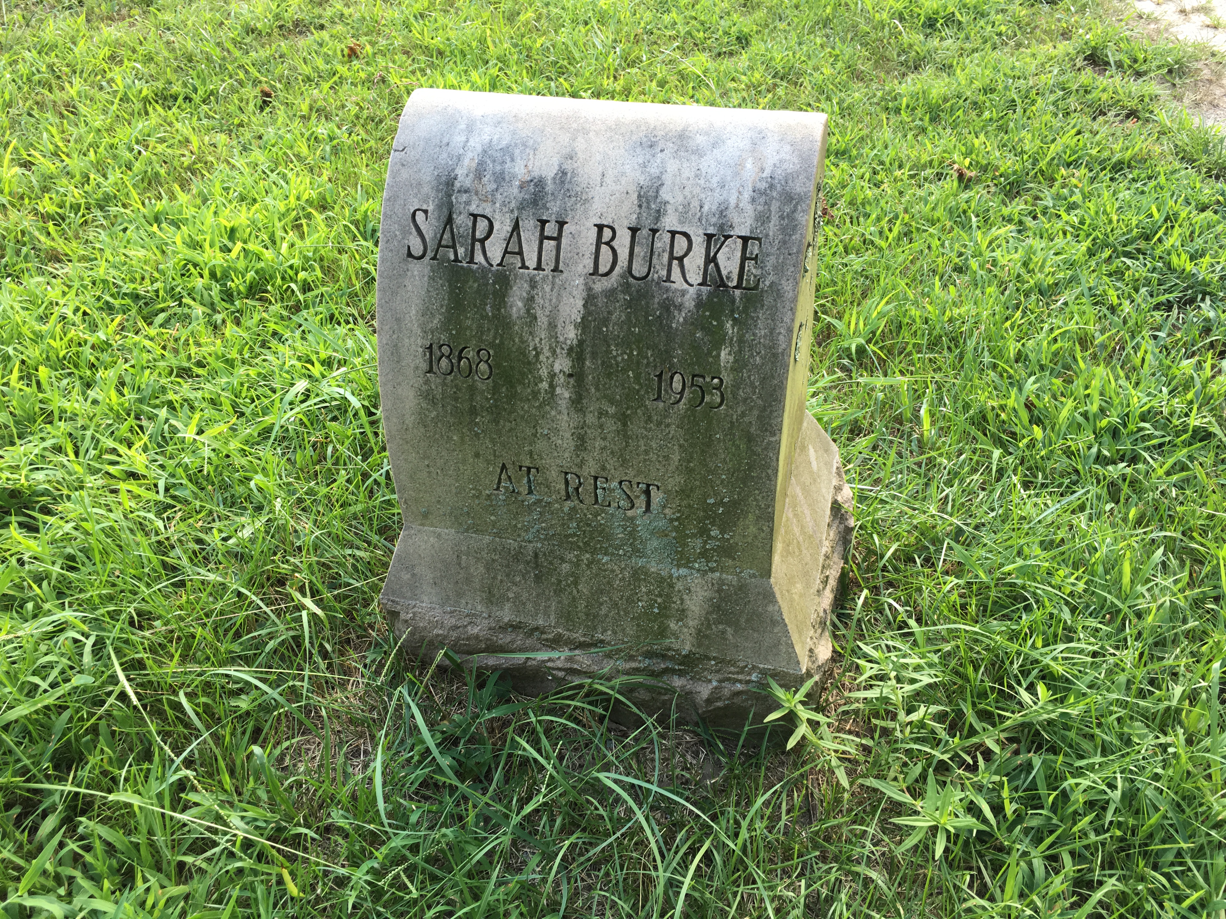 Photographed 16 August 2016.