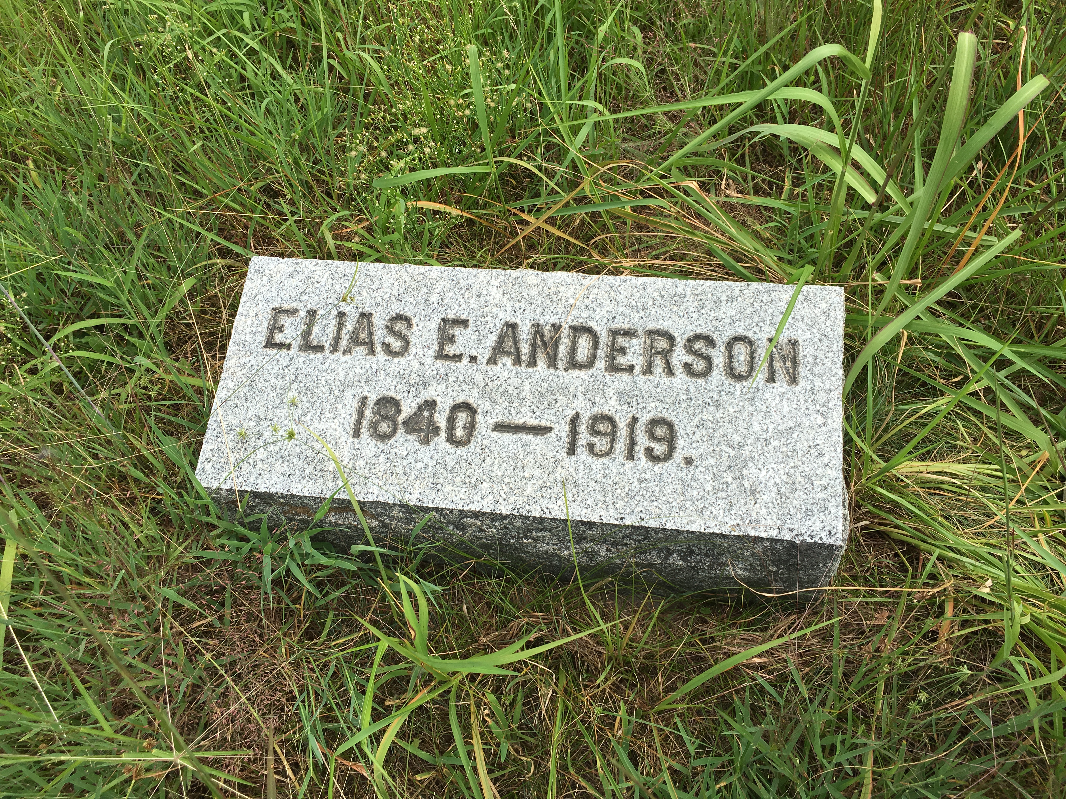 Photographed 16 August 2016.