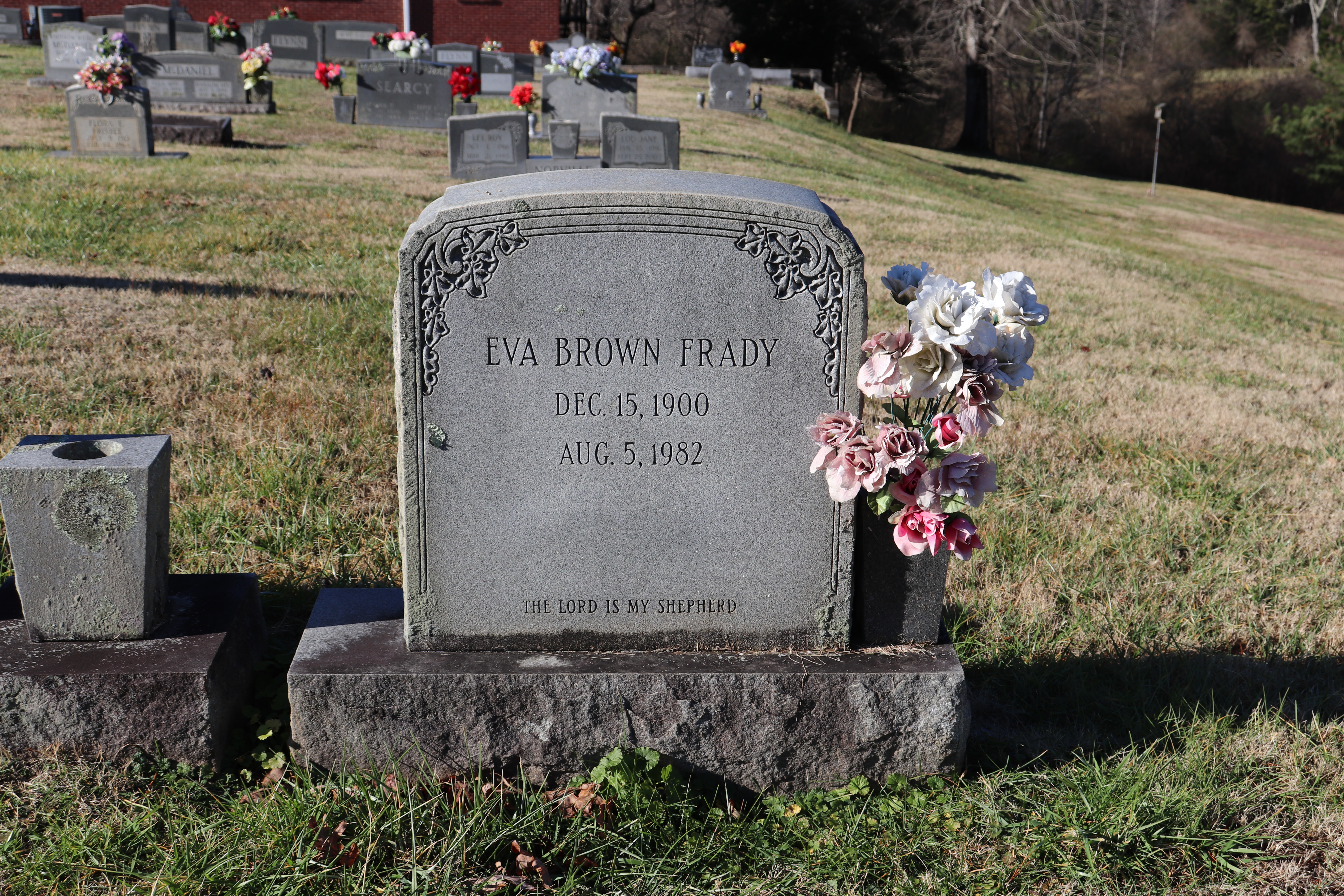 Photographed 12 December 2019.