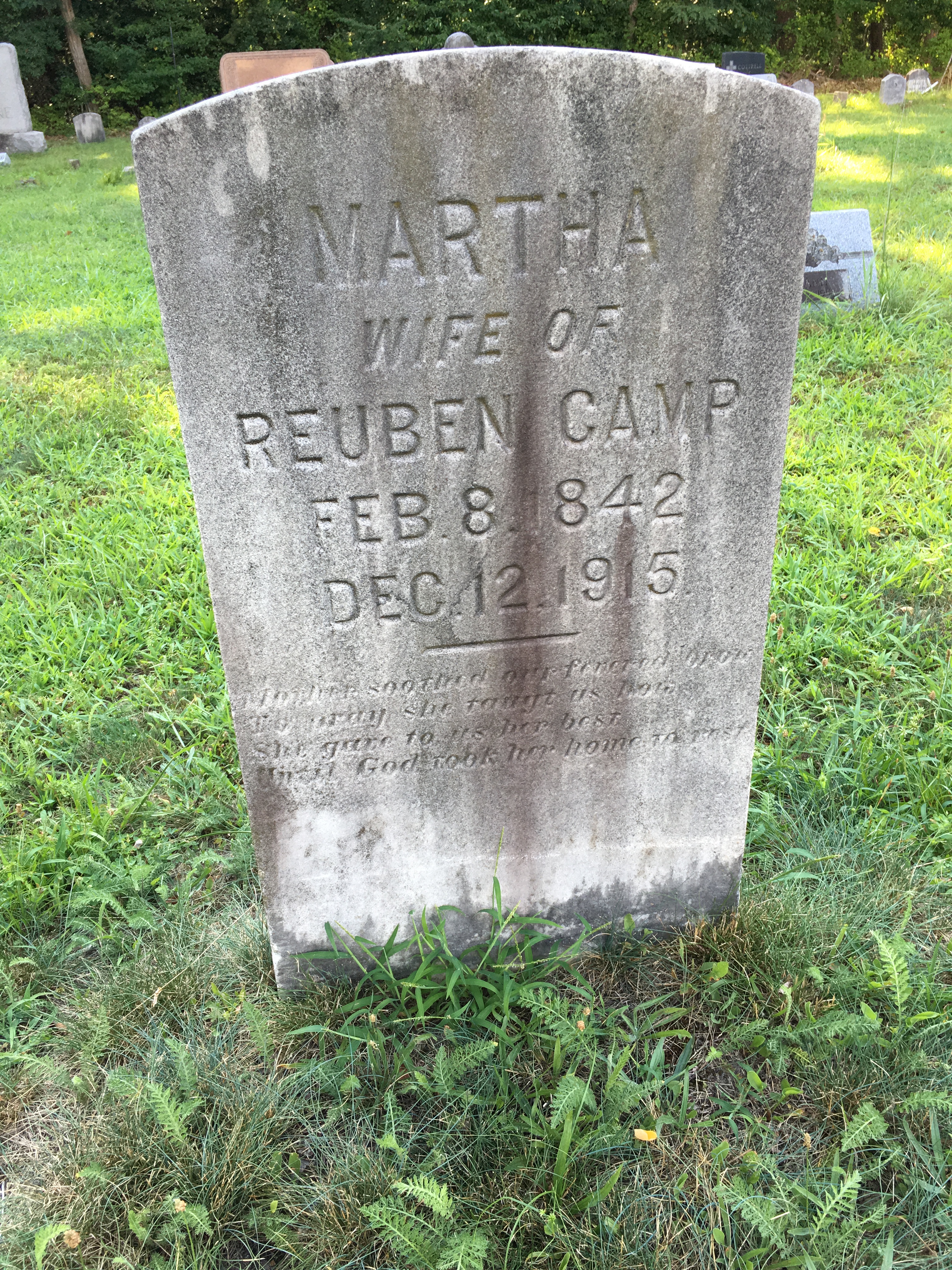 Photographed 16 August 2016.