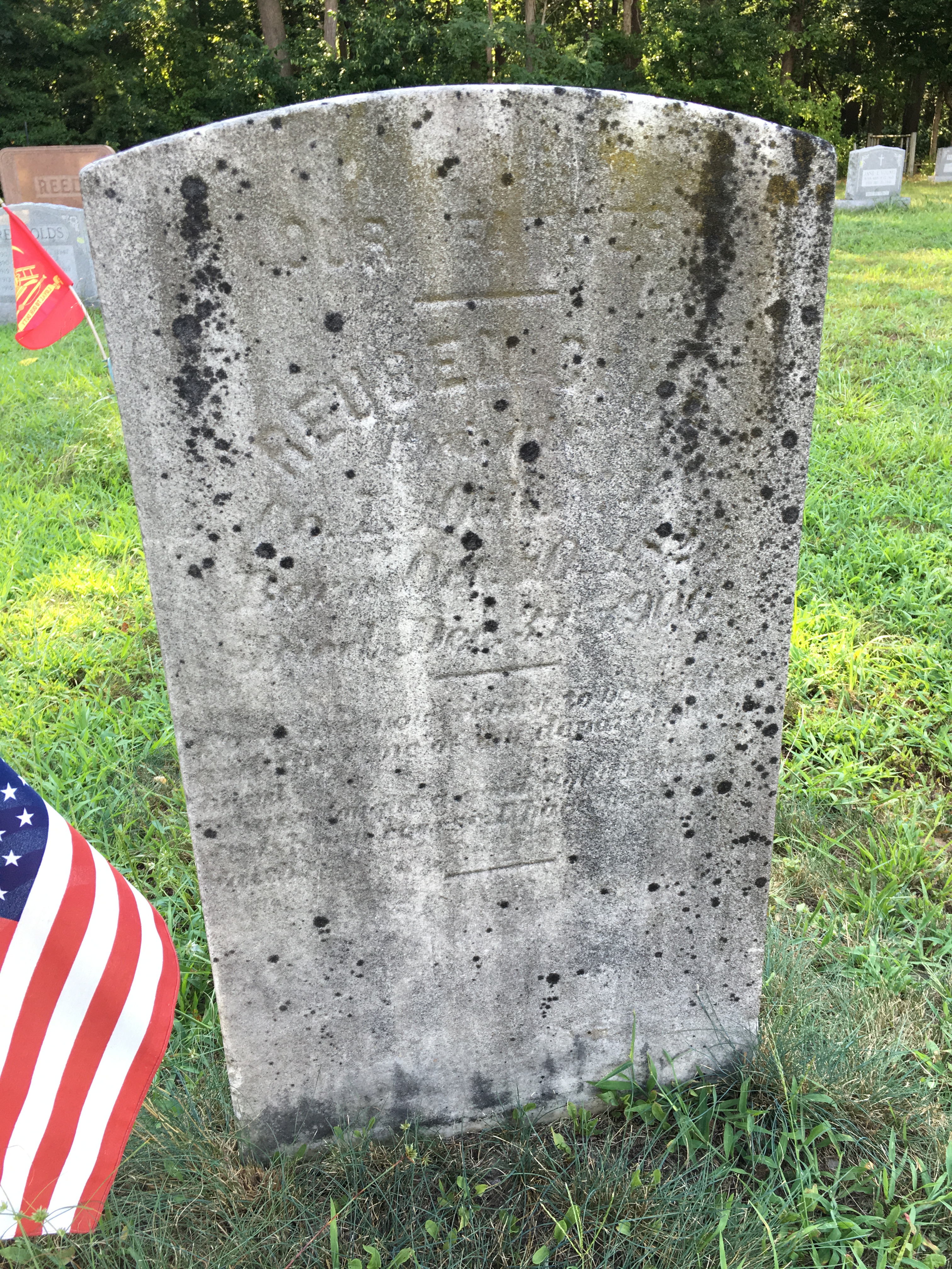 Photographed 16 August 2016.