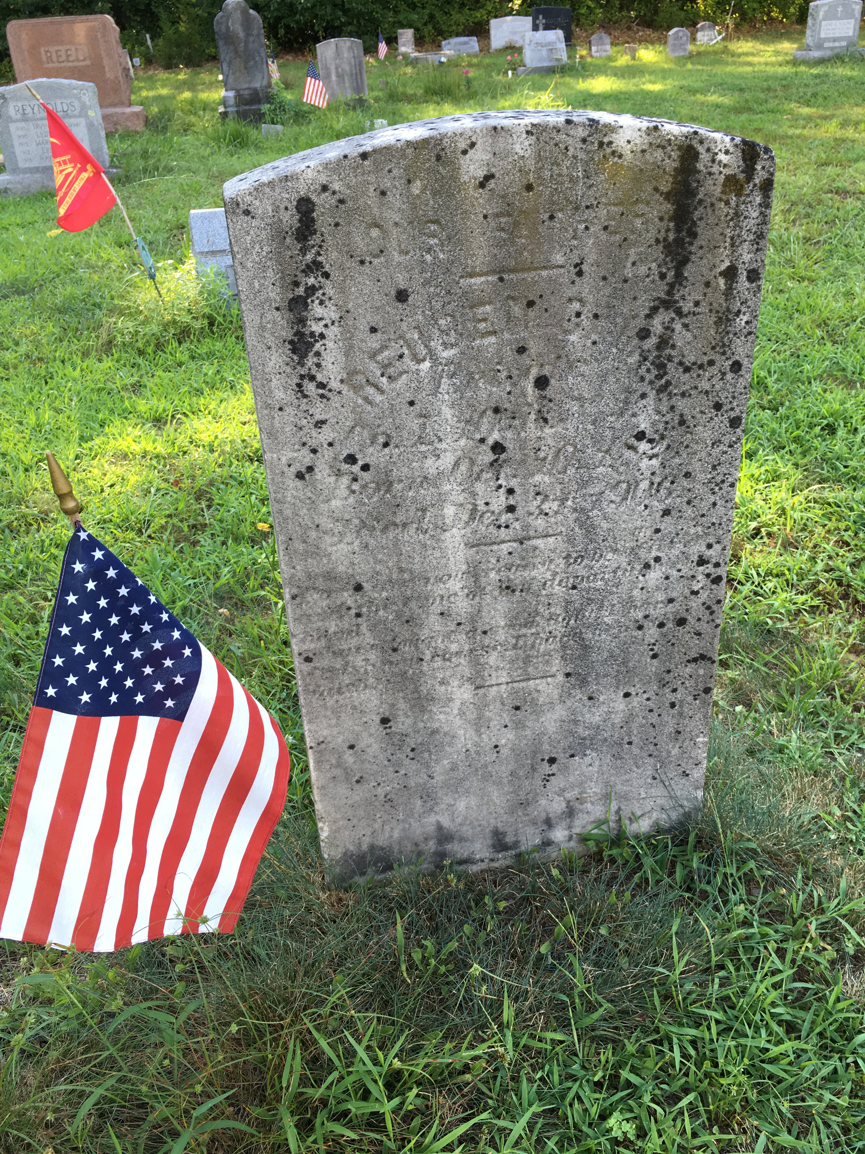 Photographed 16 August 2016.