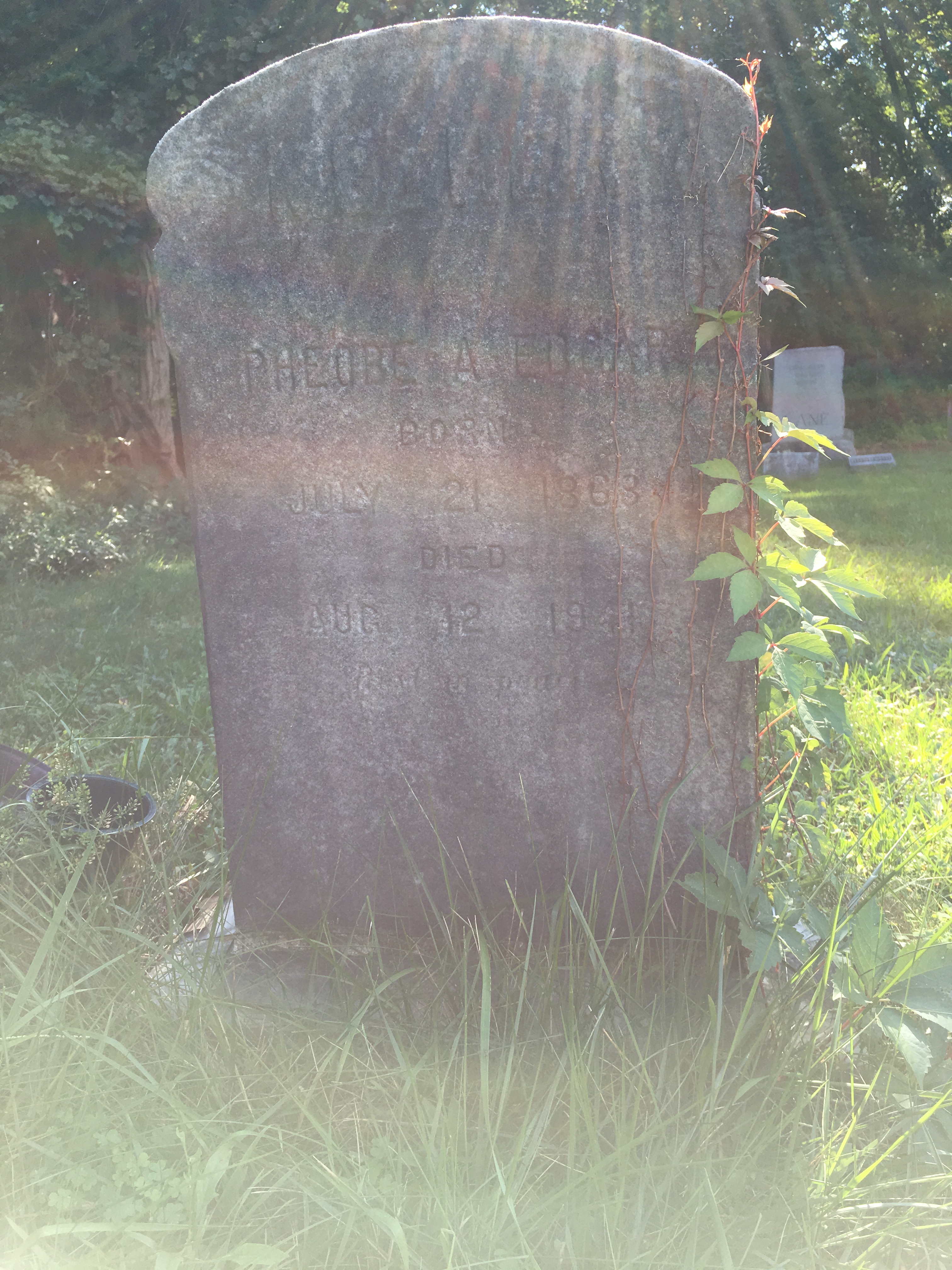 Photographed 16 August 2016.