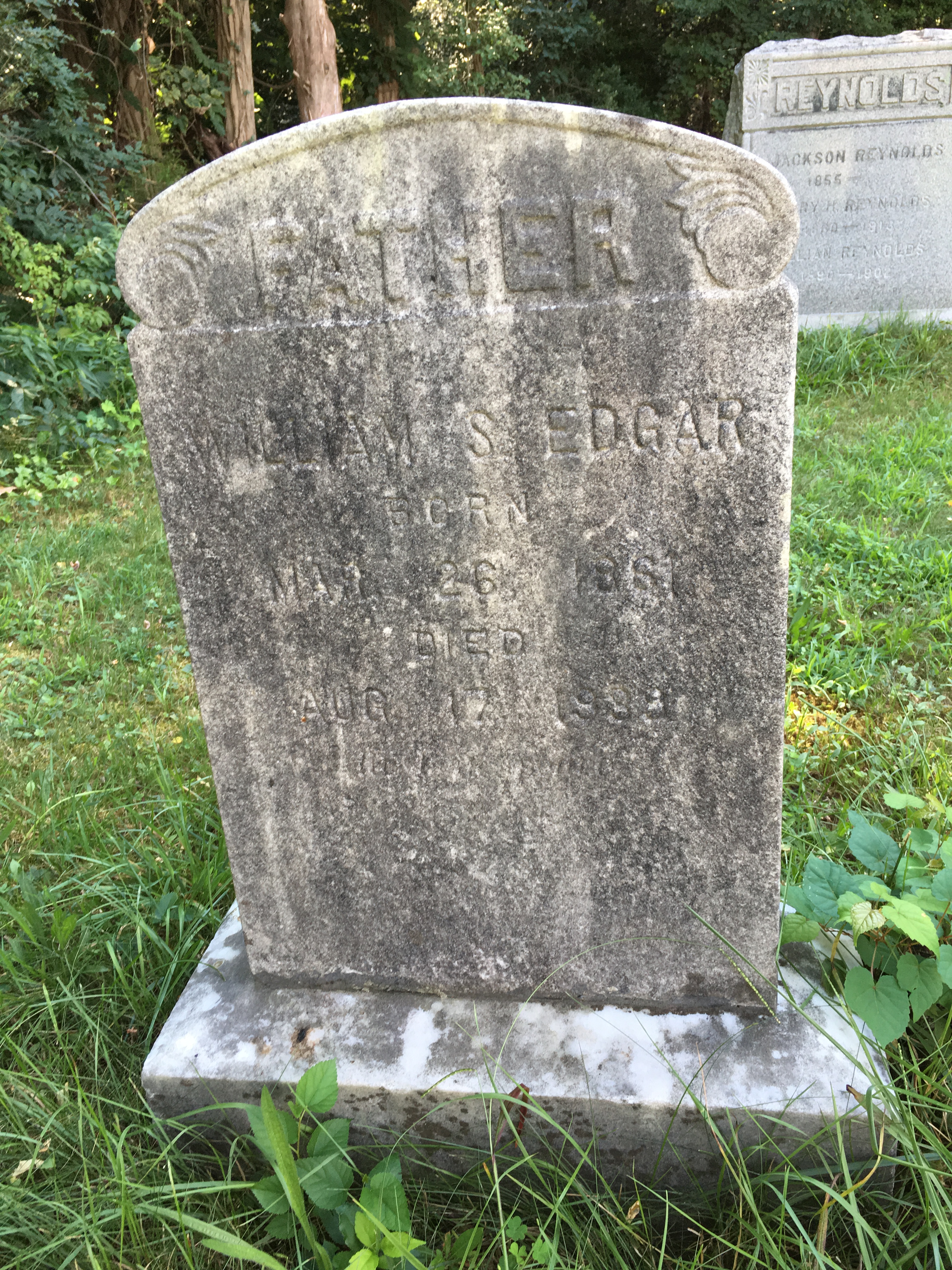 Photographed 16 August 2016.