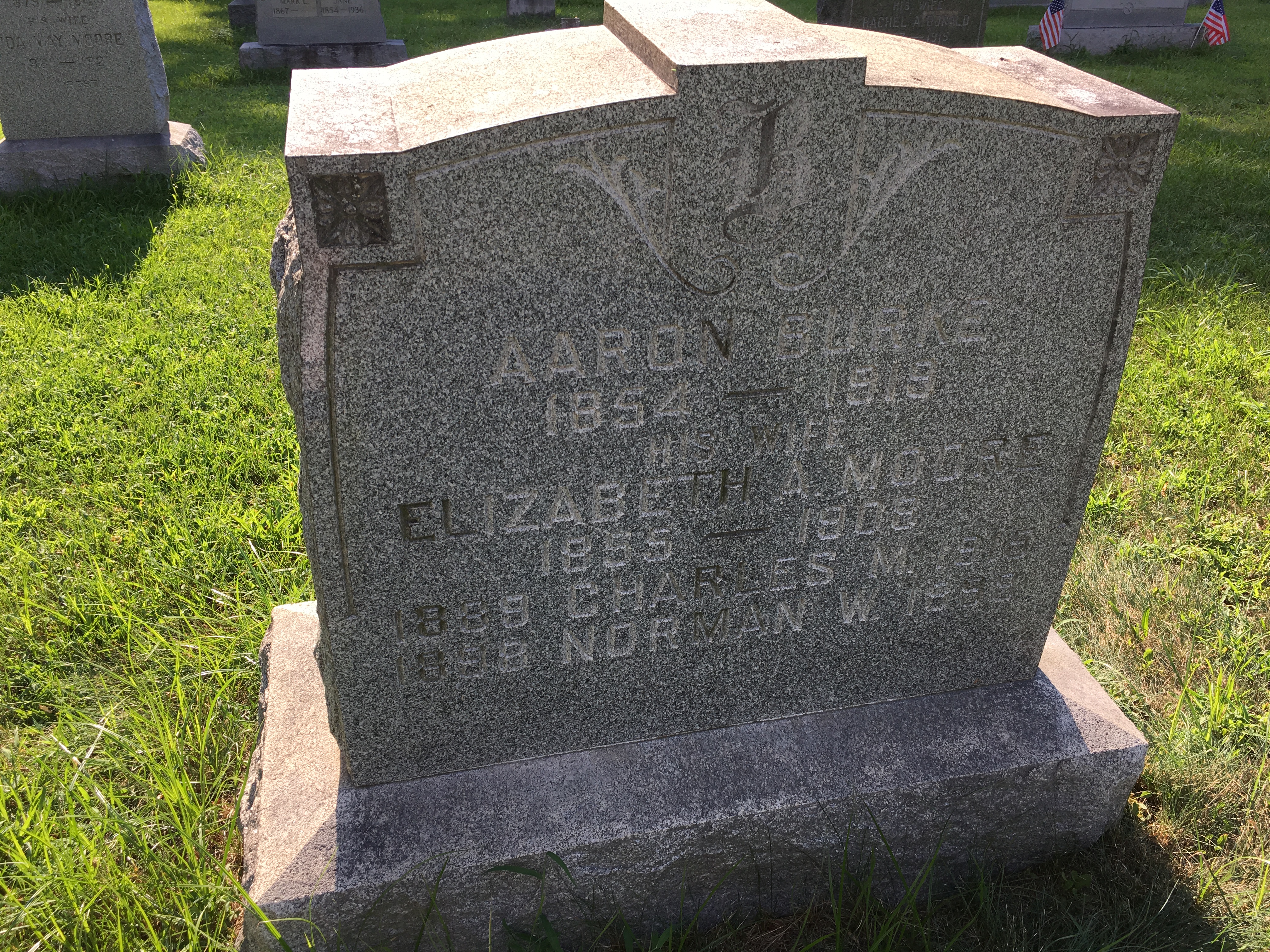 Photographed 16 August 2016.