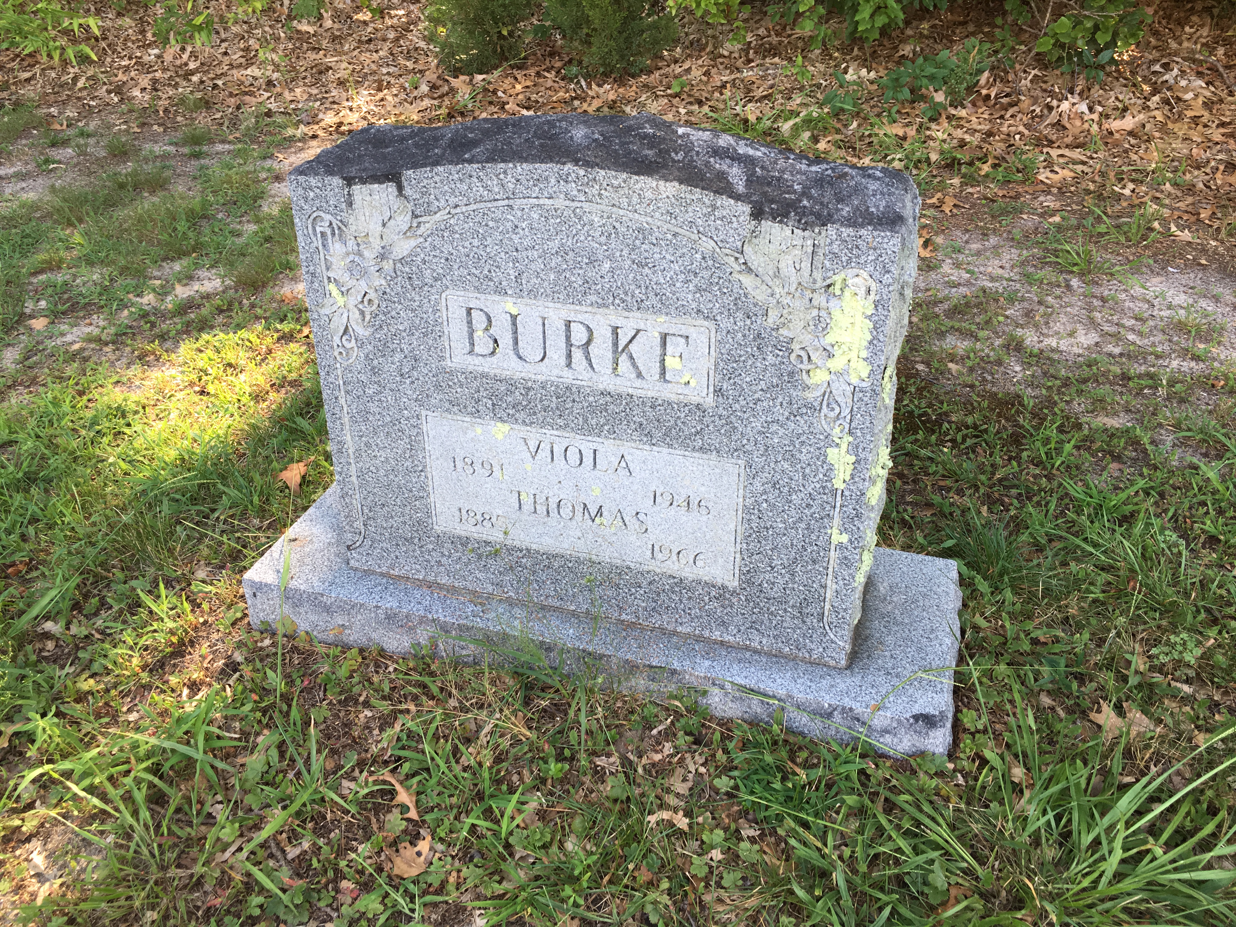 Photographed 16 August 2016.