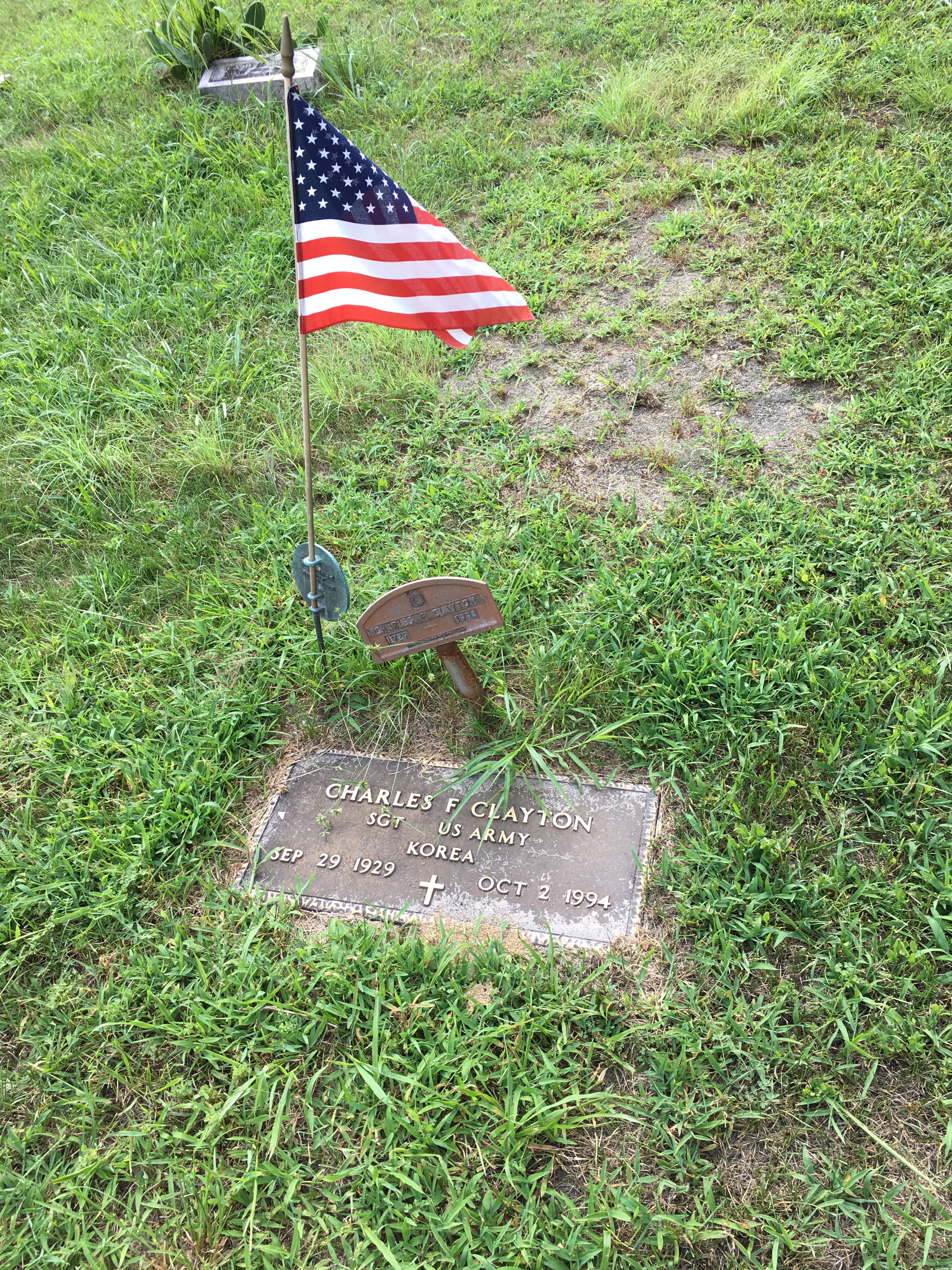 Photographed 16 August 2016.