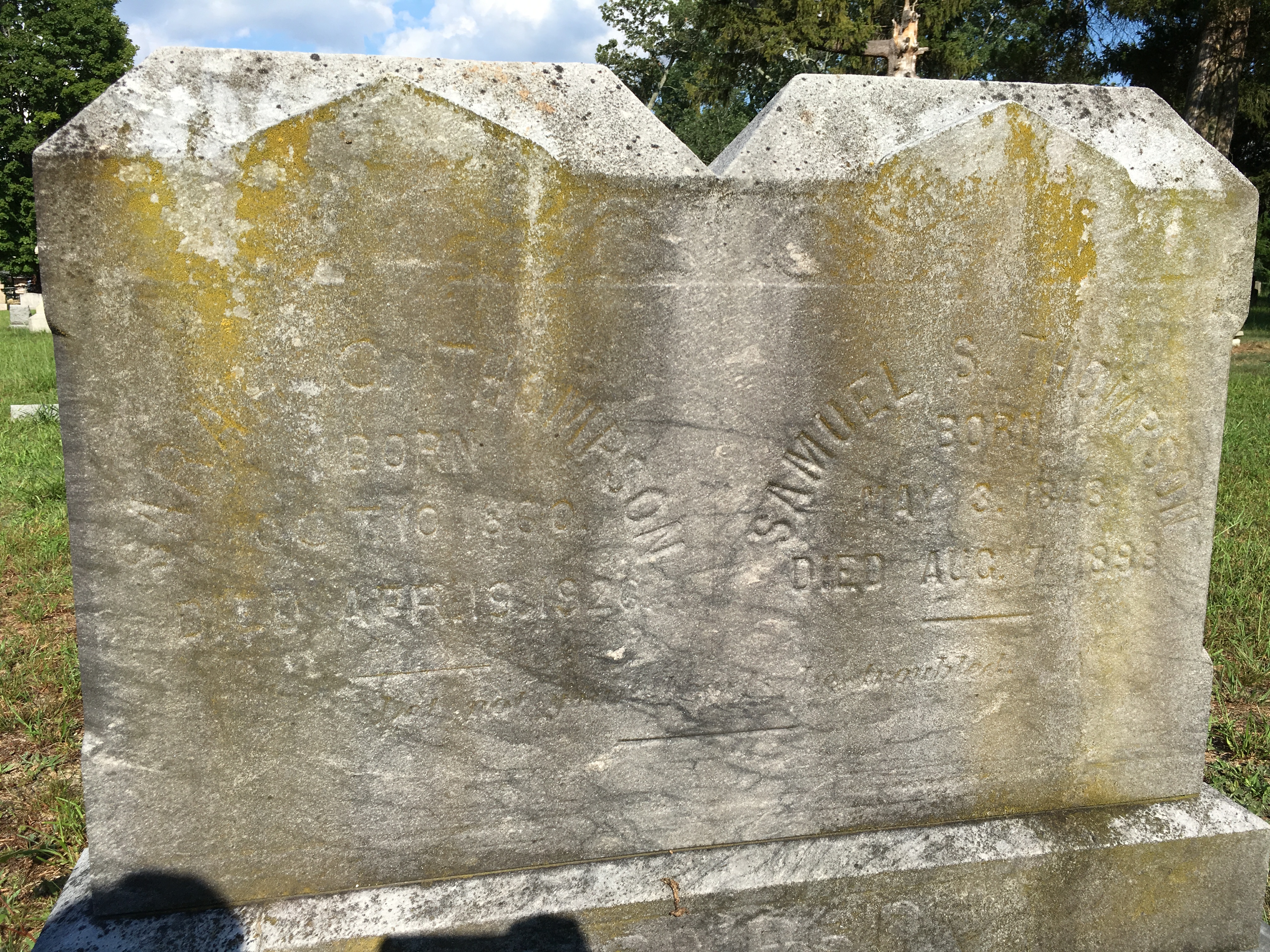 Photographed 16 August 2016.