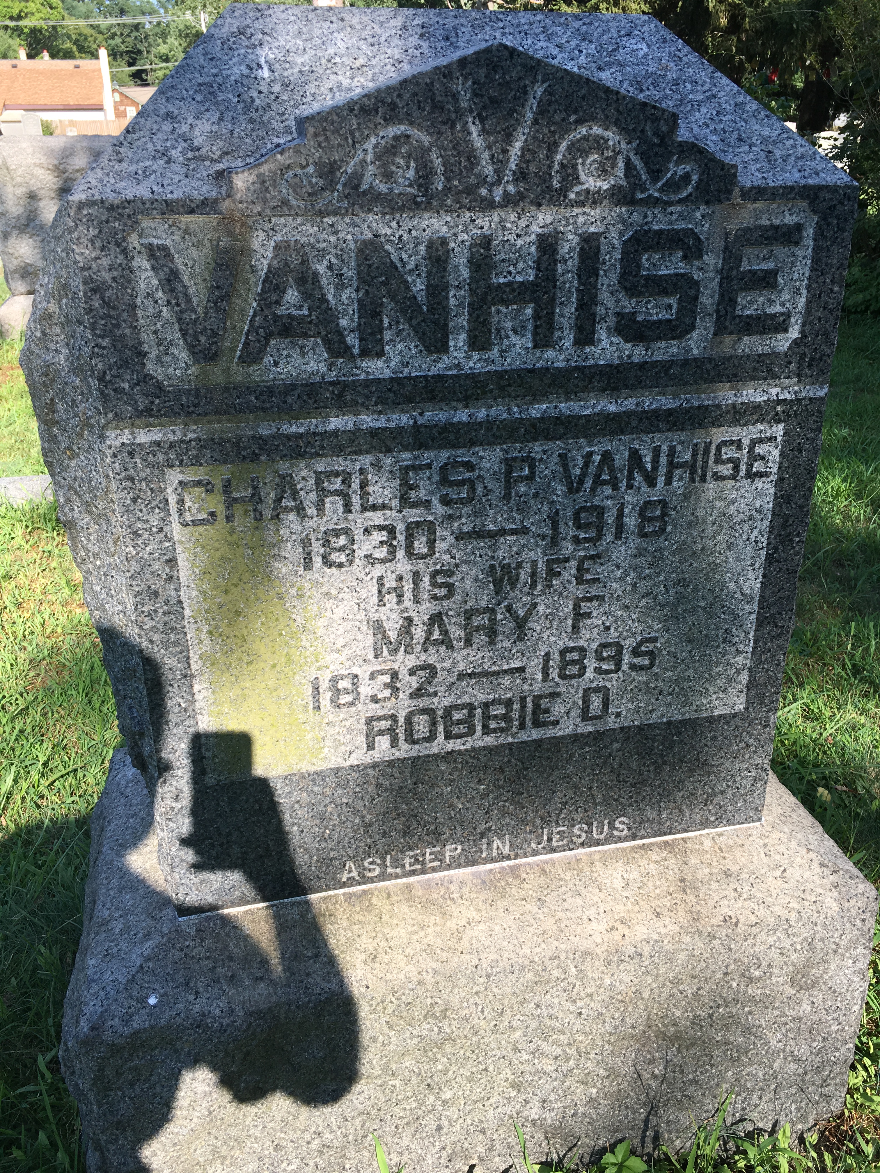 Photographed 16 August 2016.