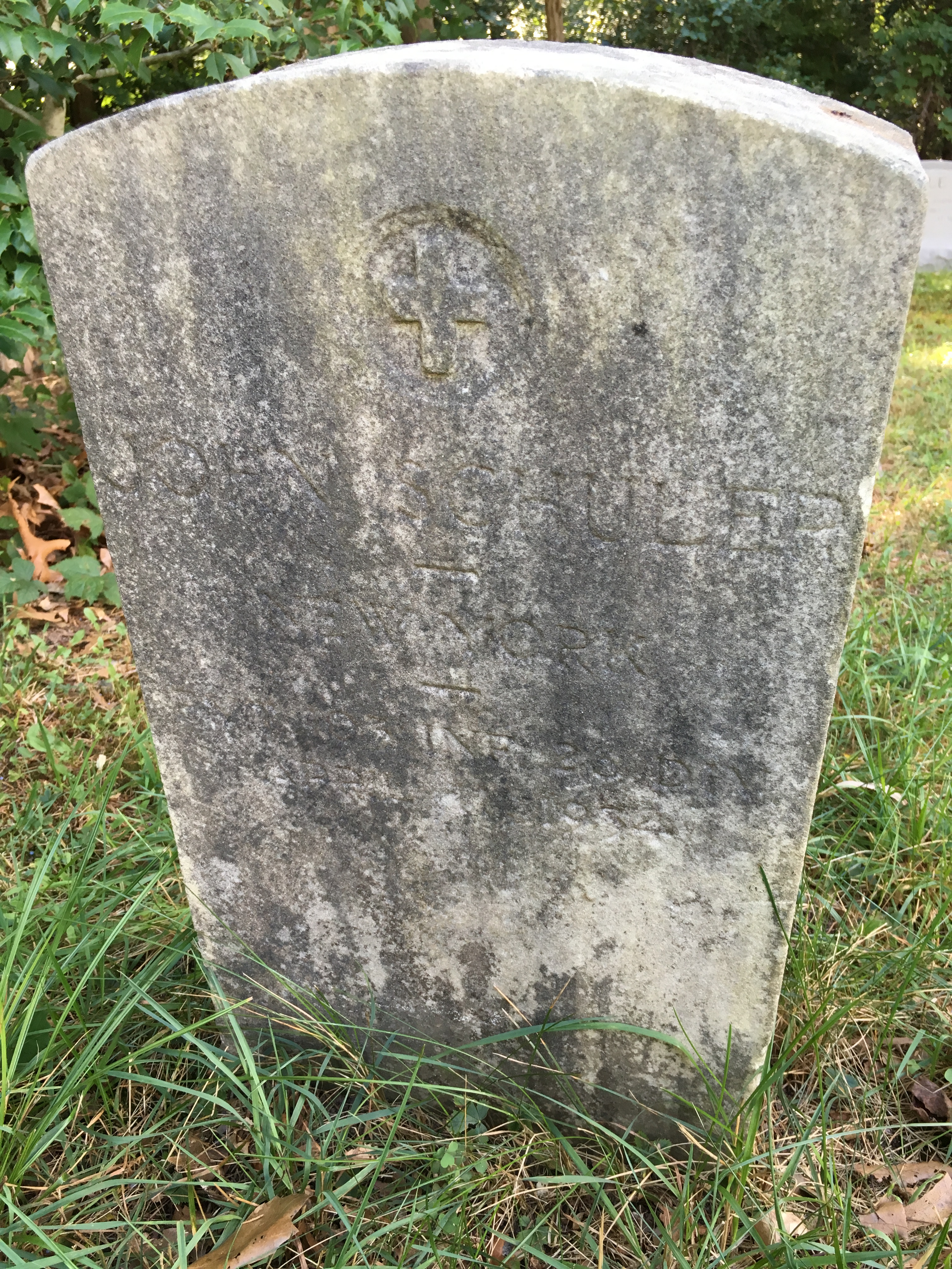 Photographed 16 August 2016.