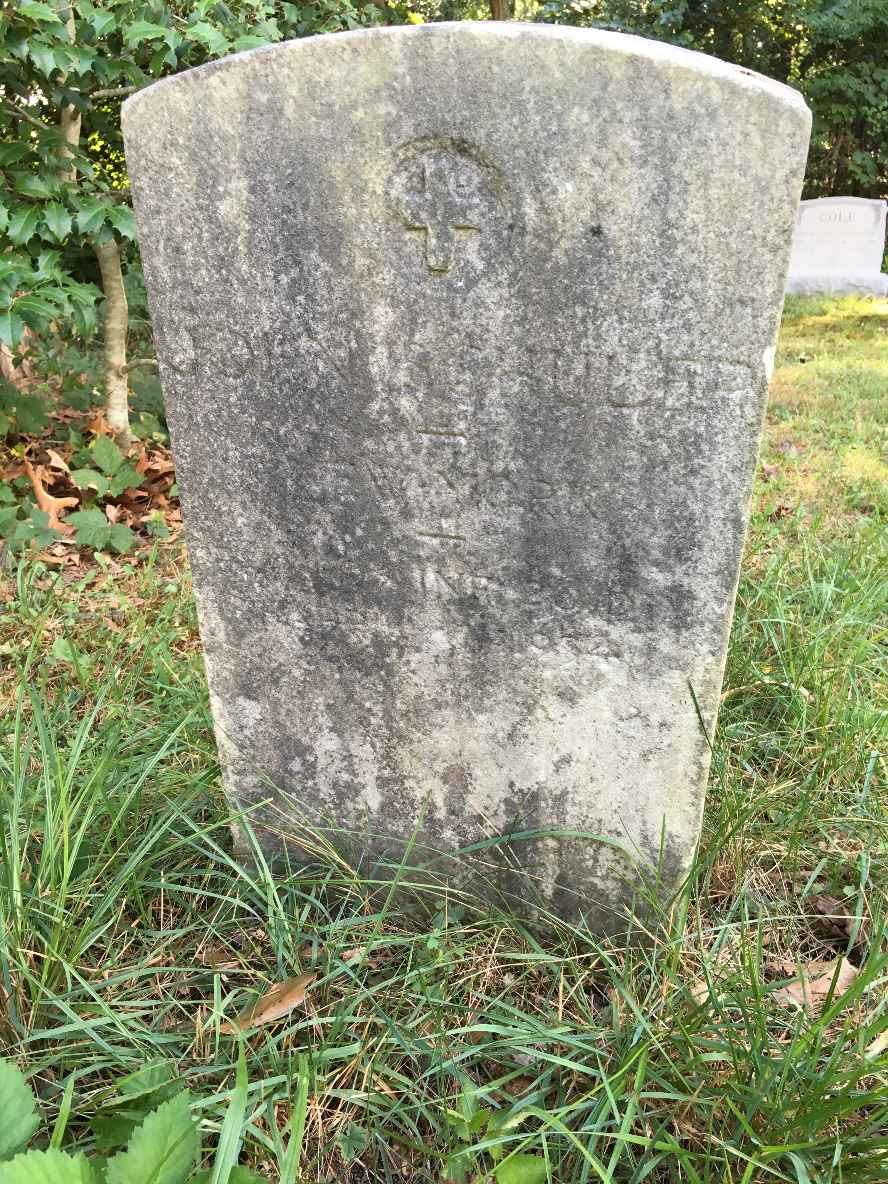 Photographed 16 August 2016.