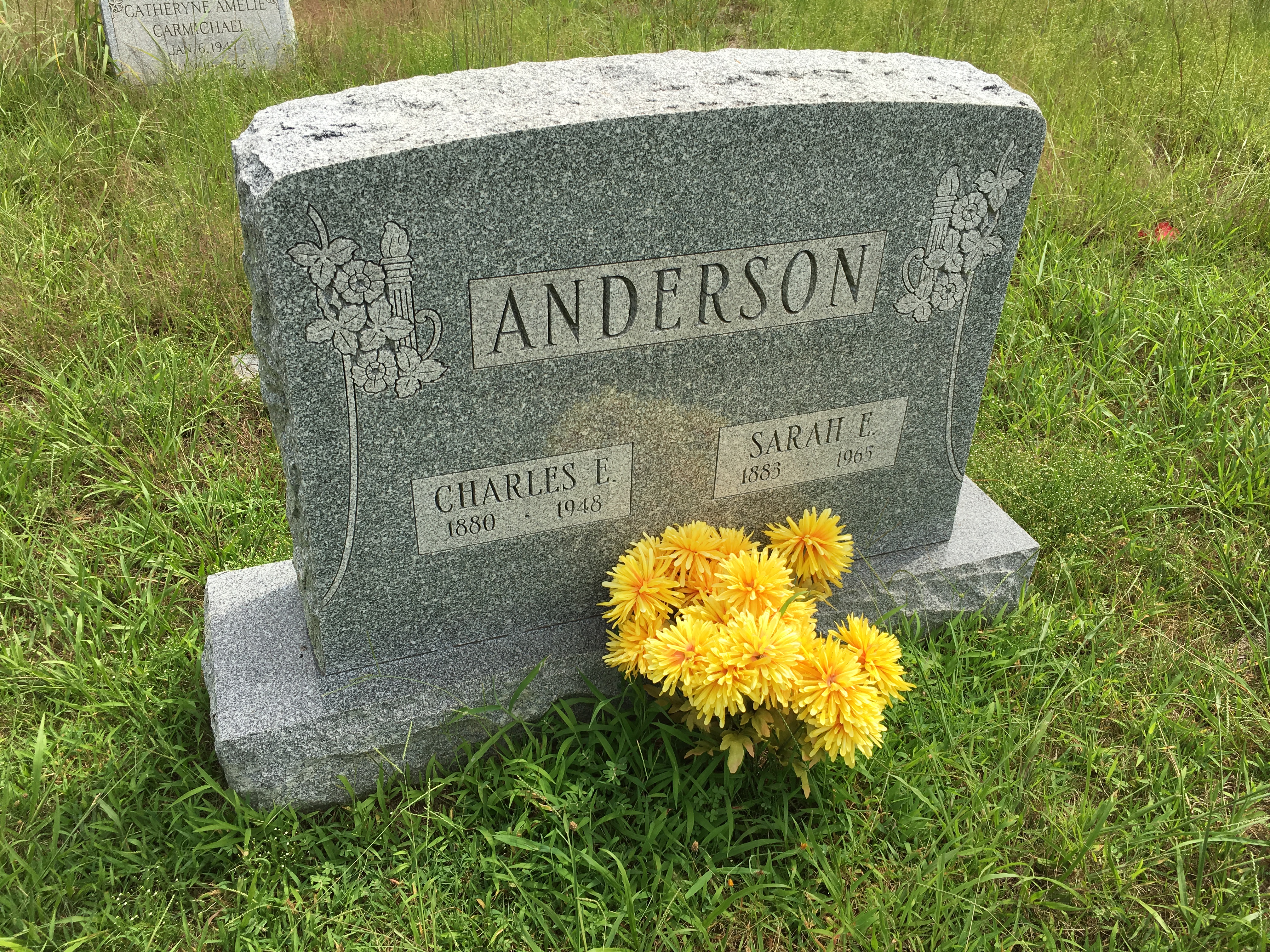 Photographed 16 August 2016.