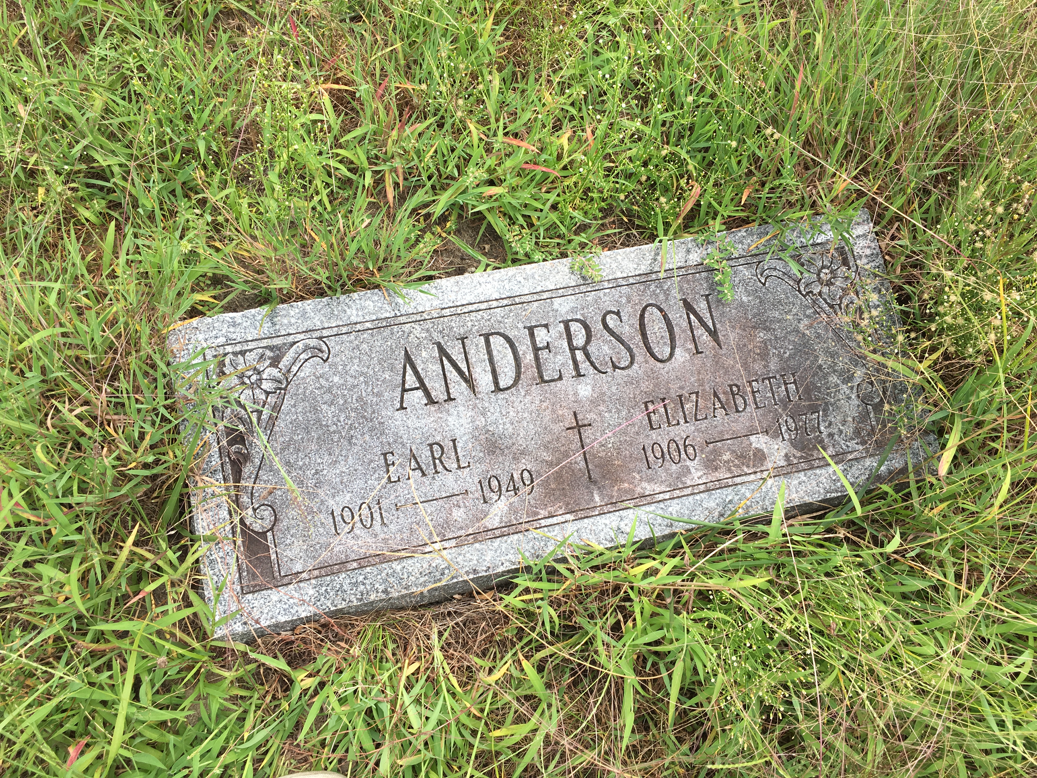 Photographed 16 August 2016.