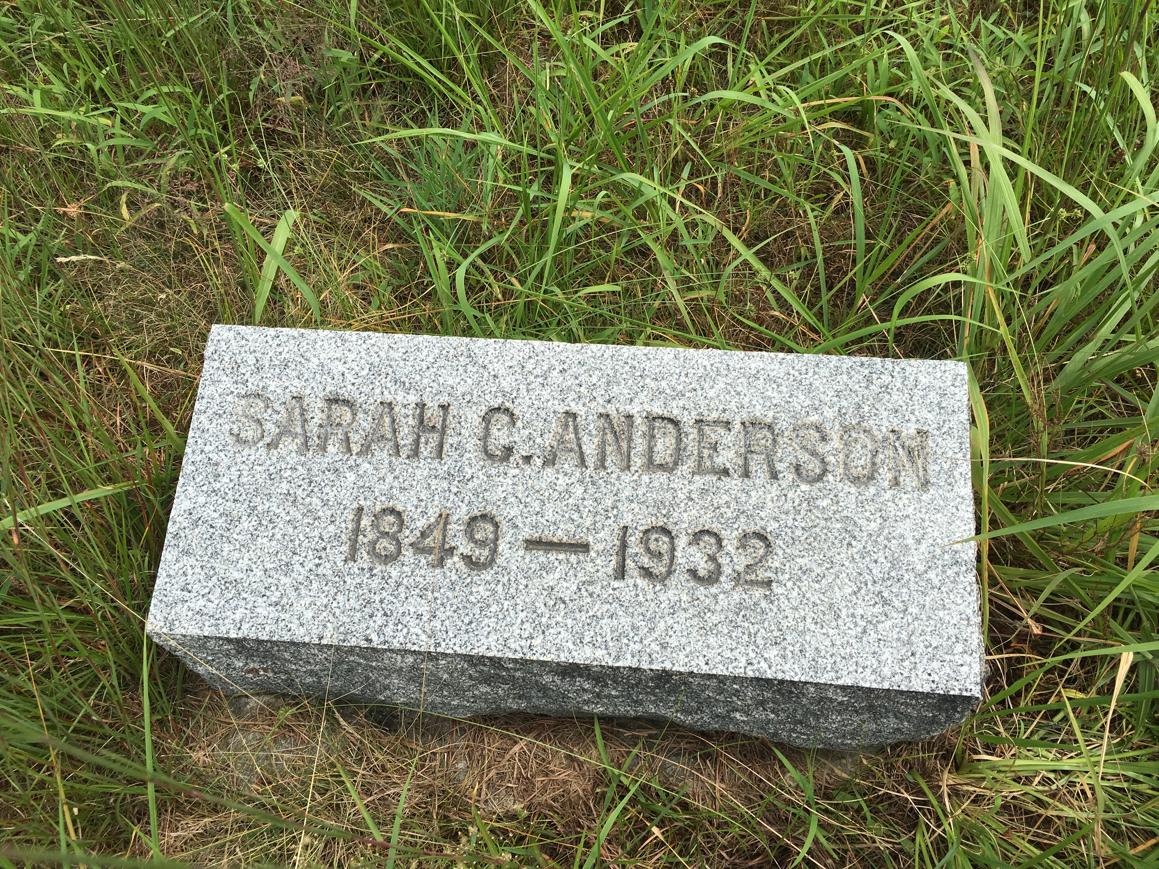 Photographed 16 August 2016.