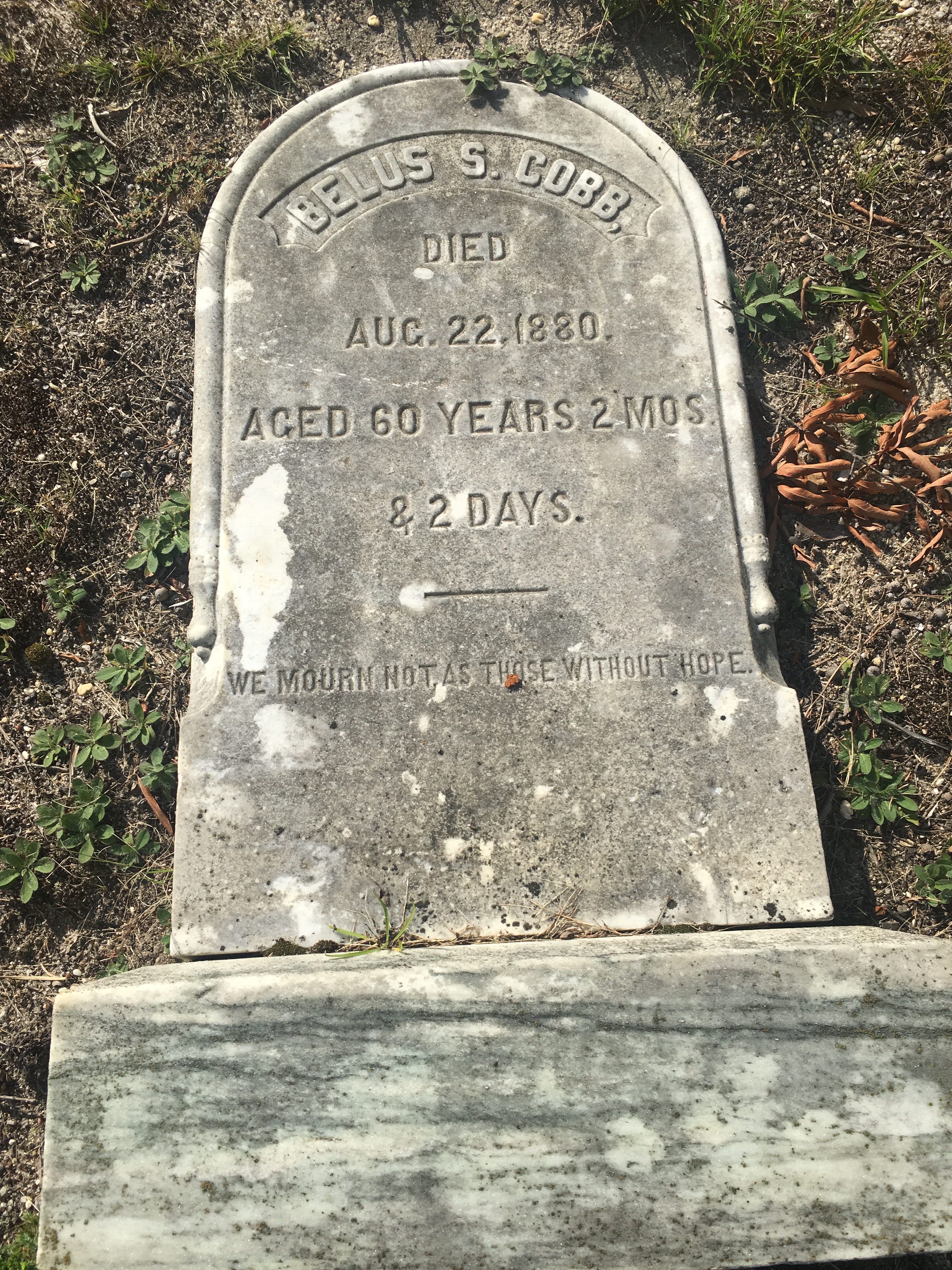 Photographed 09 September 2017.