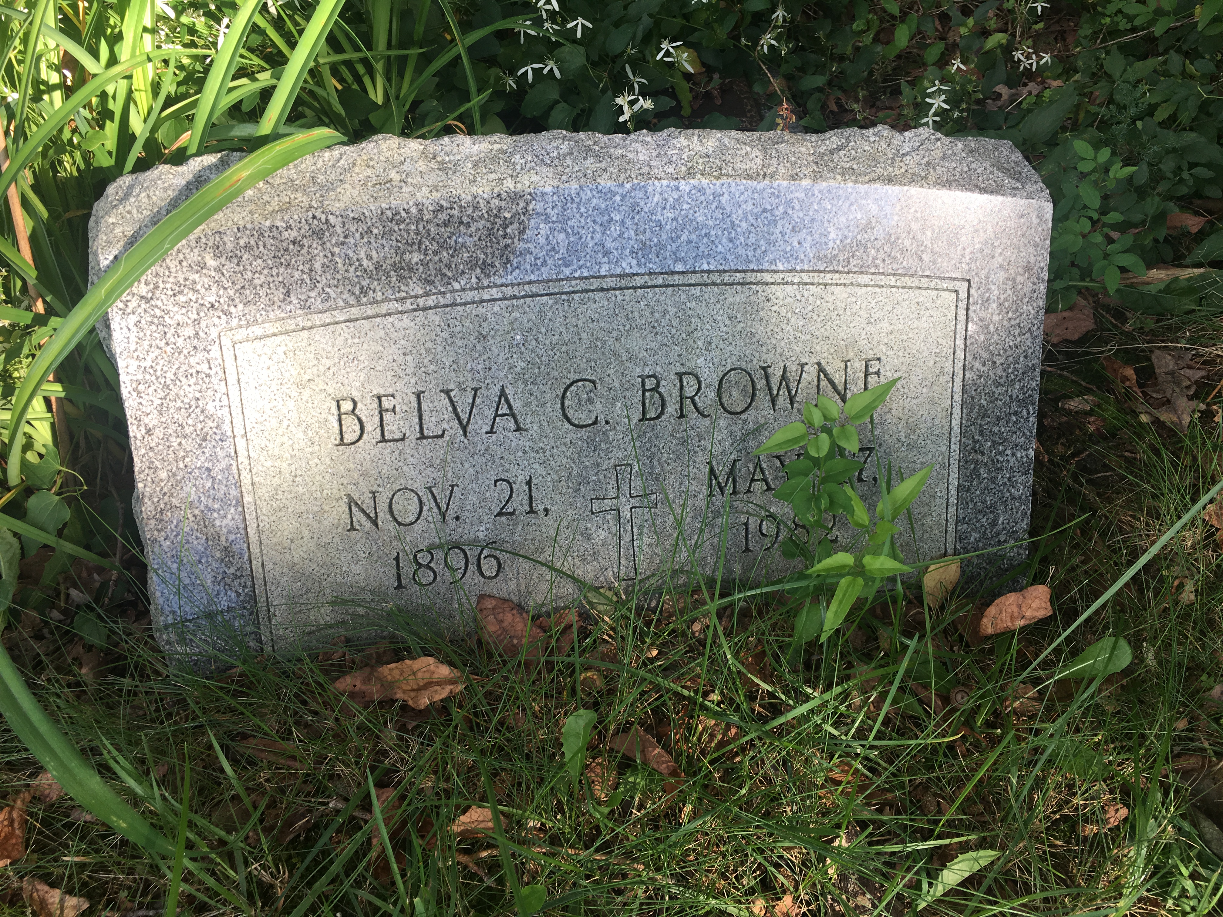 Photographed 09 September 2017.