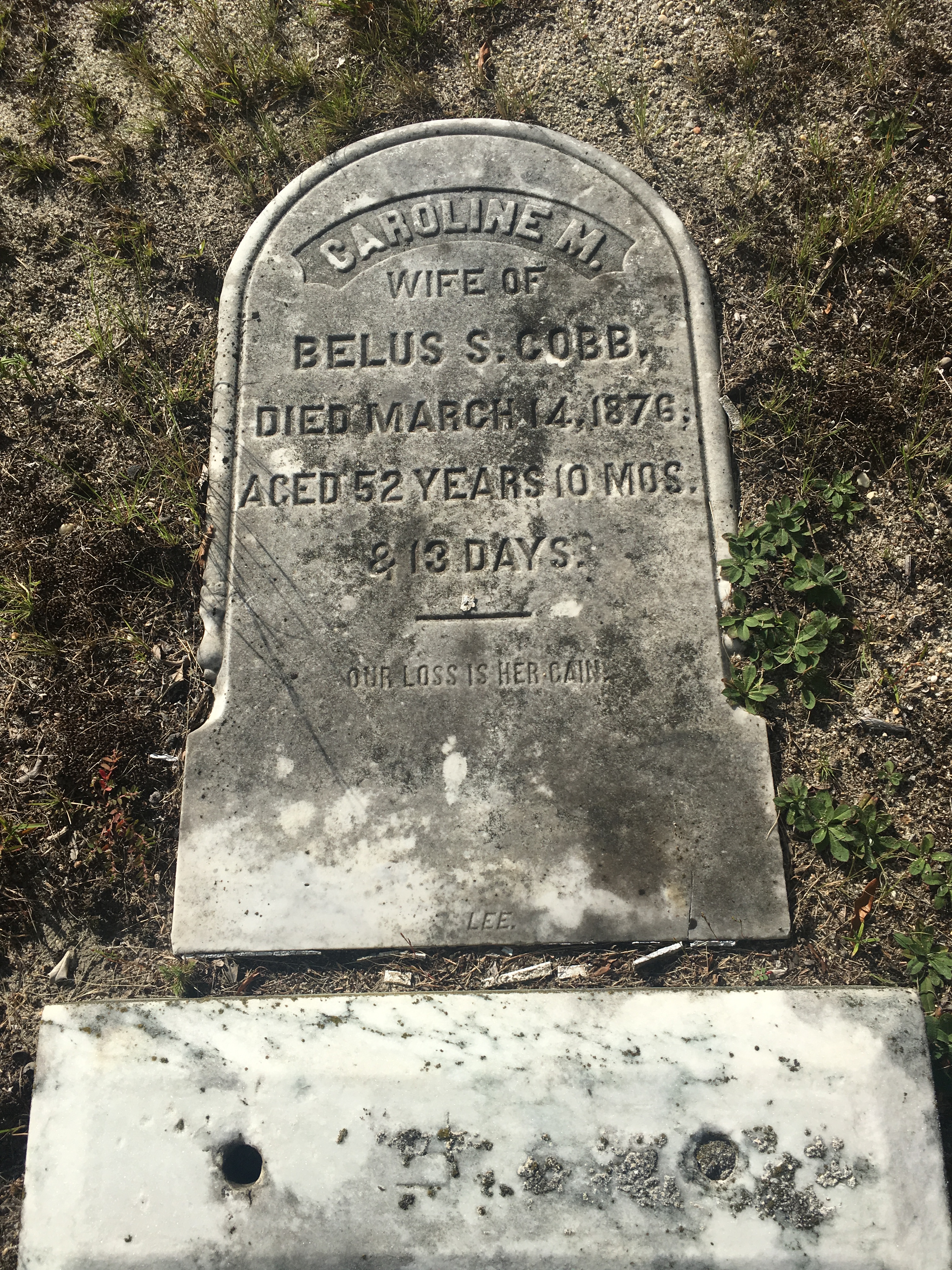 Photographed 09 September 2017.