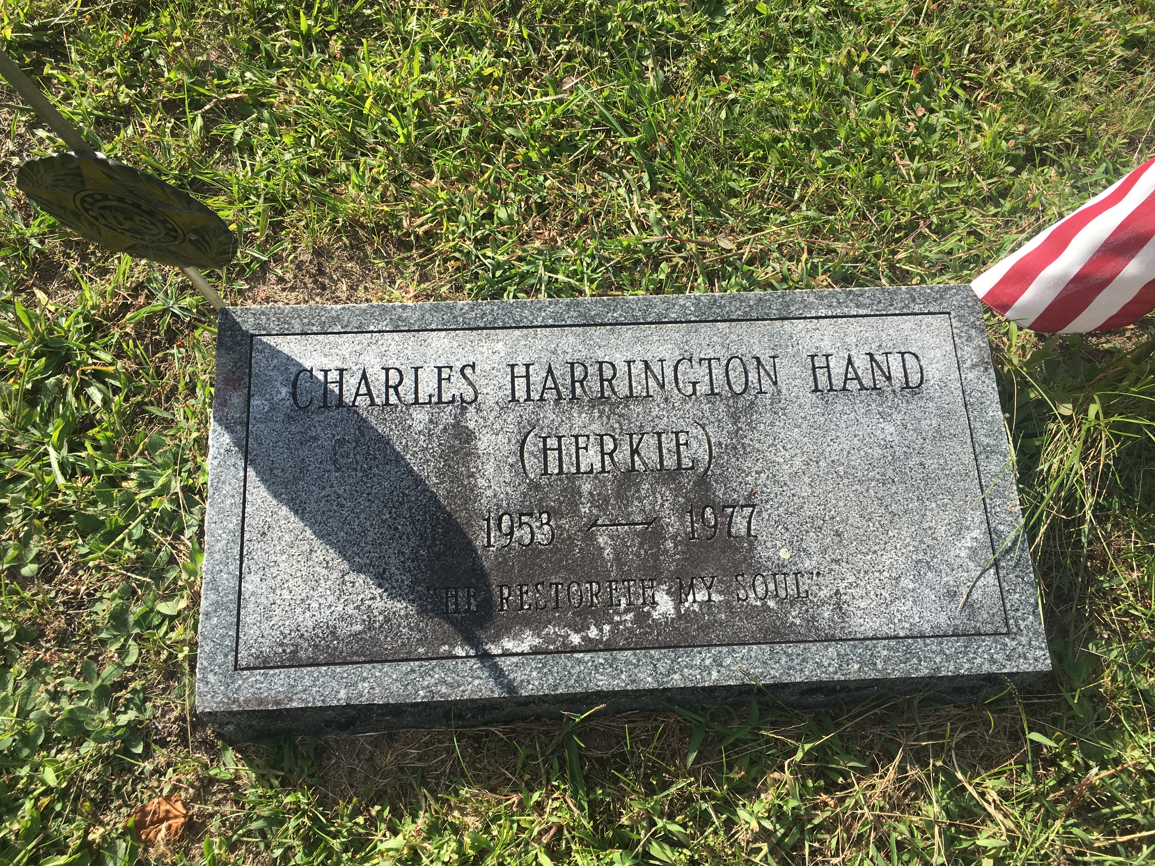 Photographed 09 September 2017.