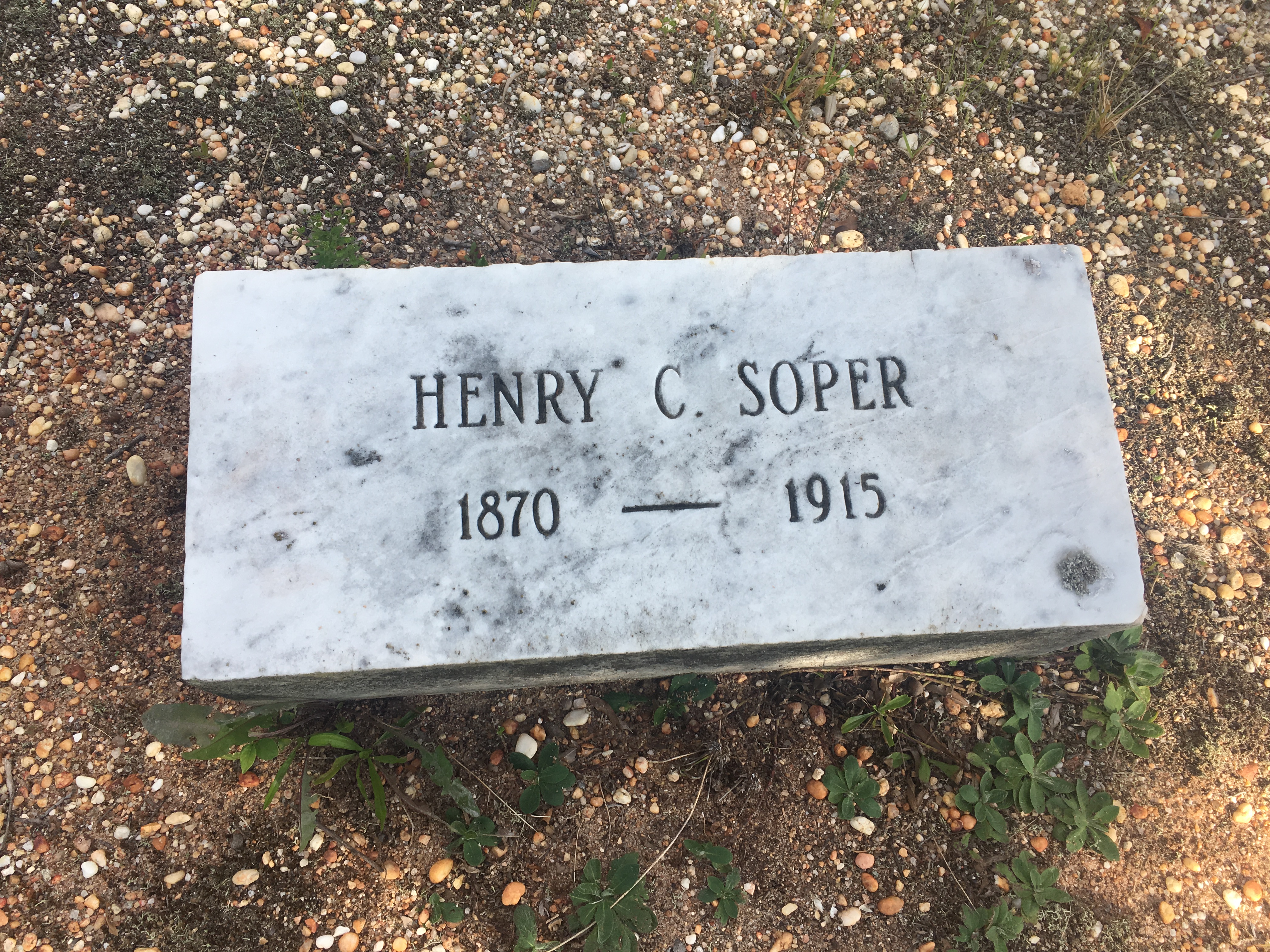 Photographed 09 September 2017.