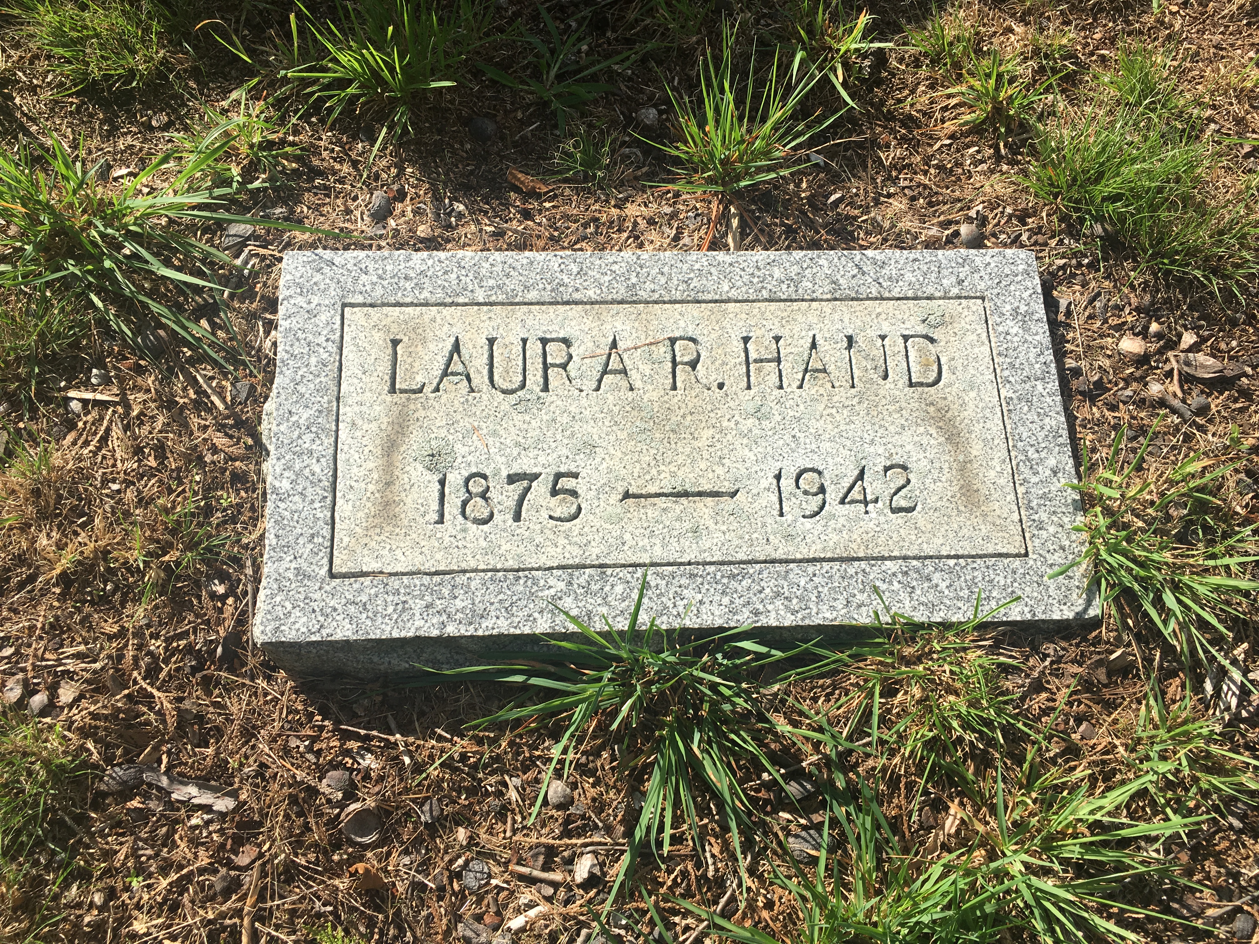 Photographed 09 September 2017.