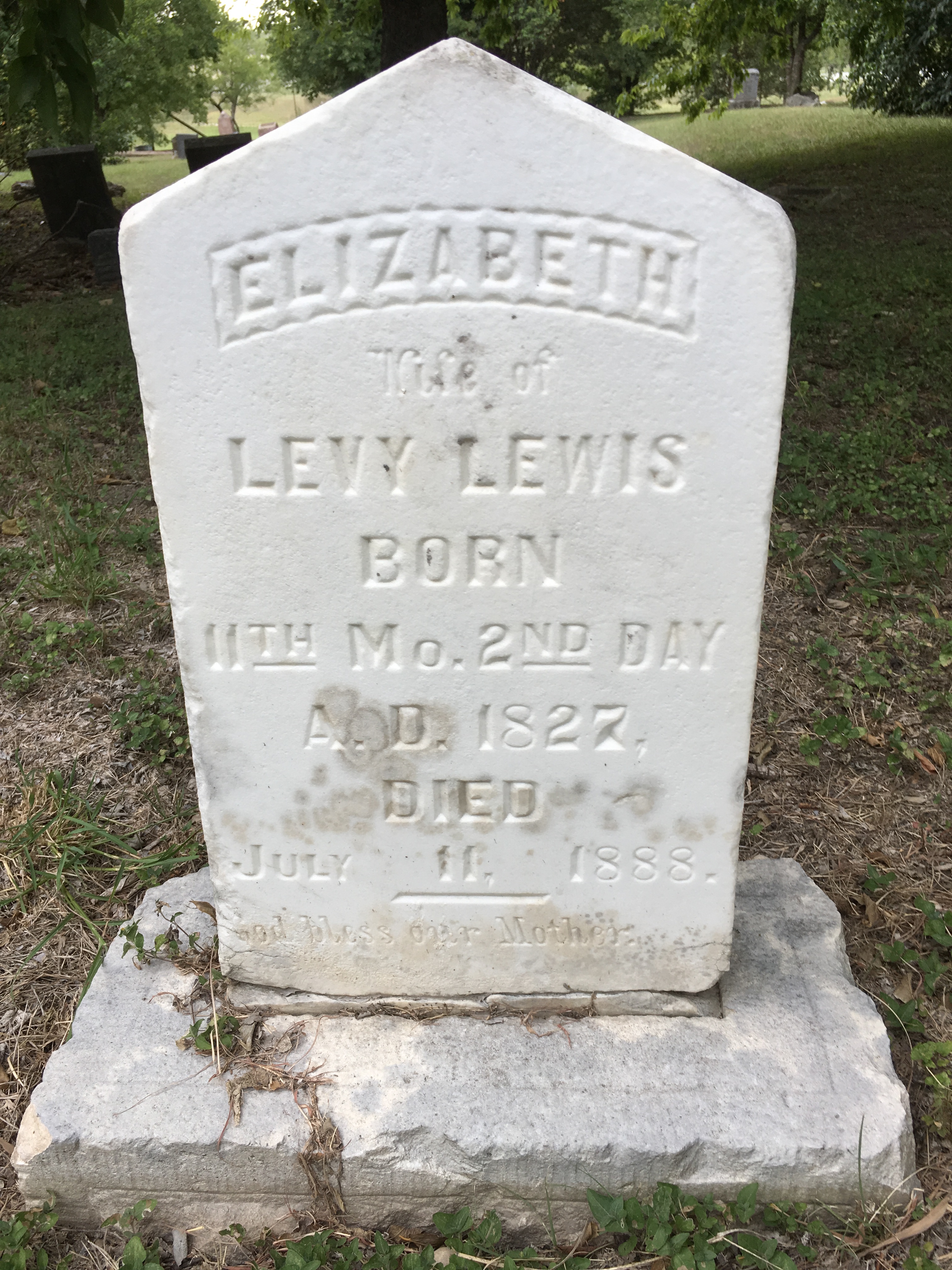 Photographed 15 July 2017.