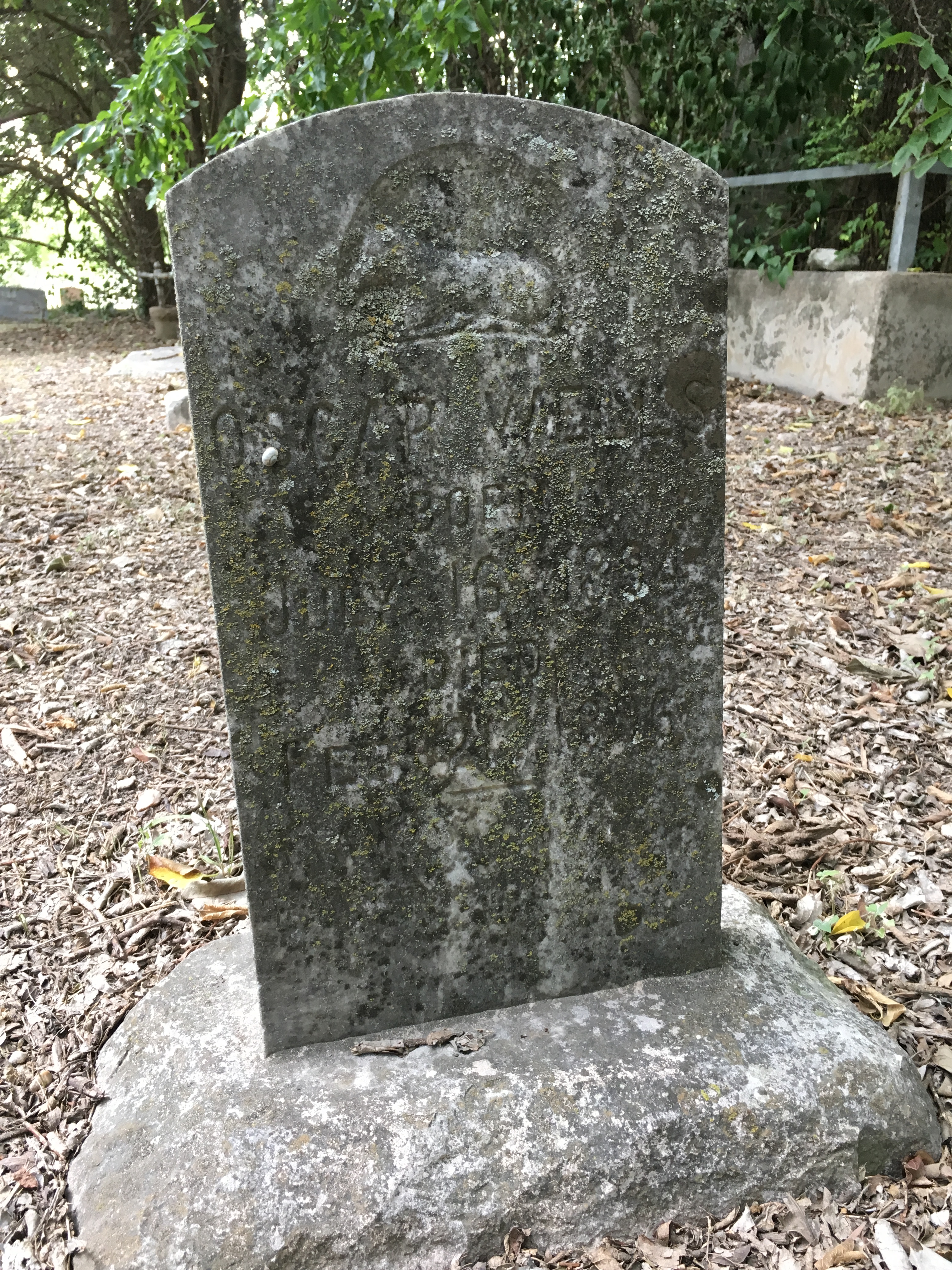 Photographed 15 July 2017.