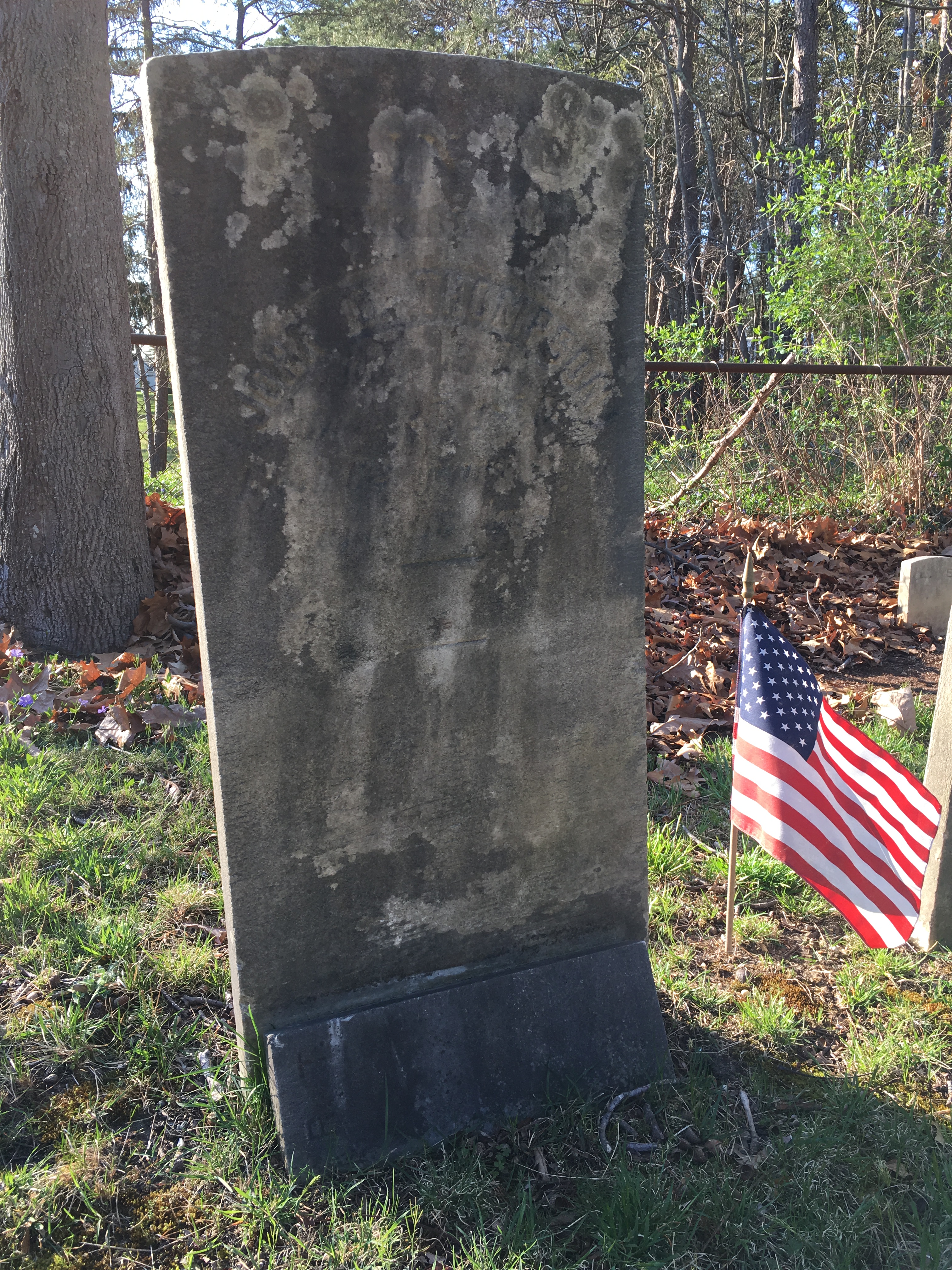 Photographed 18 April 2017.