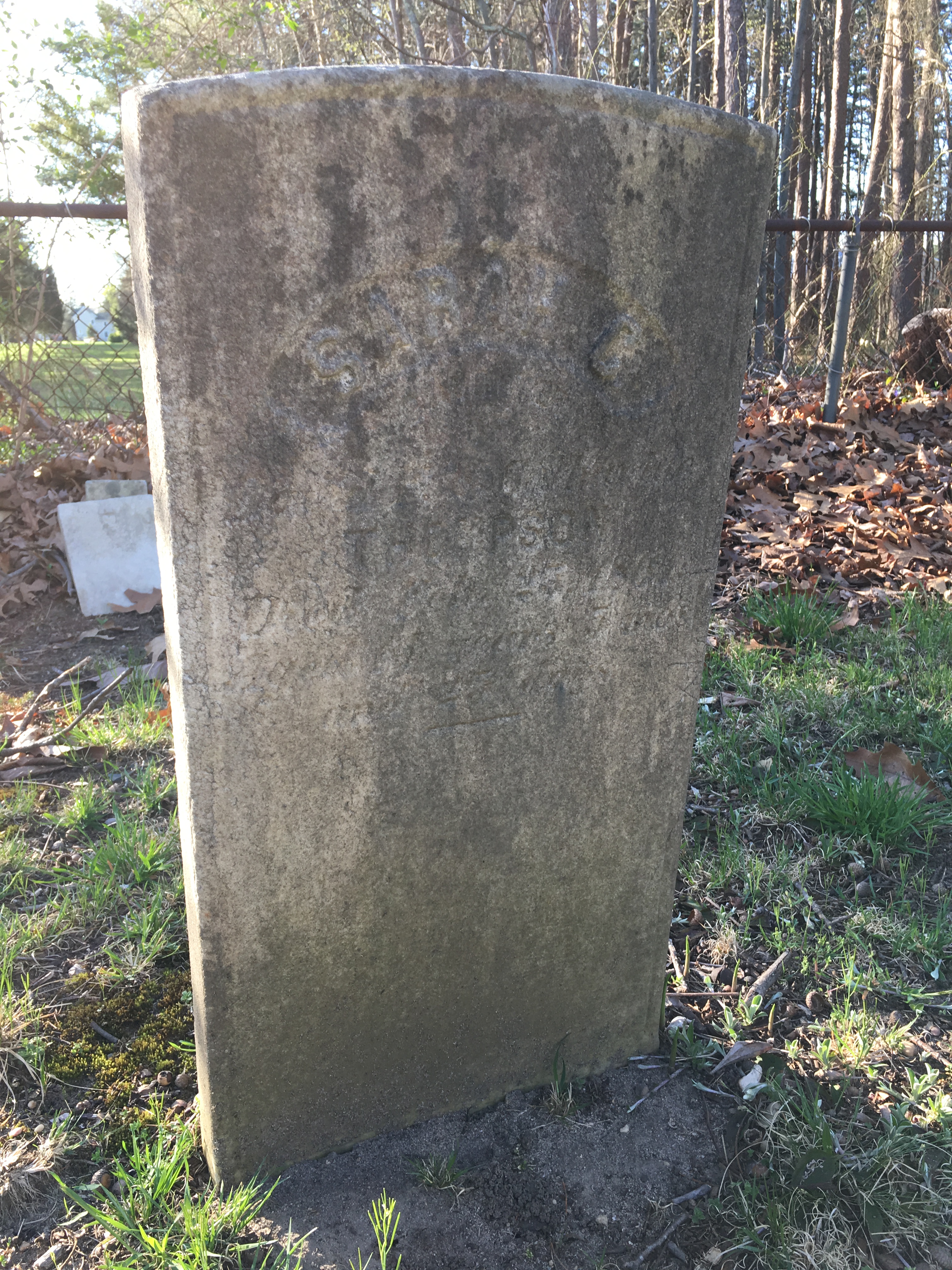 Photographed 18 April 2017.