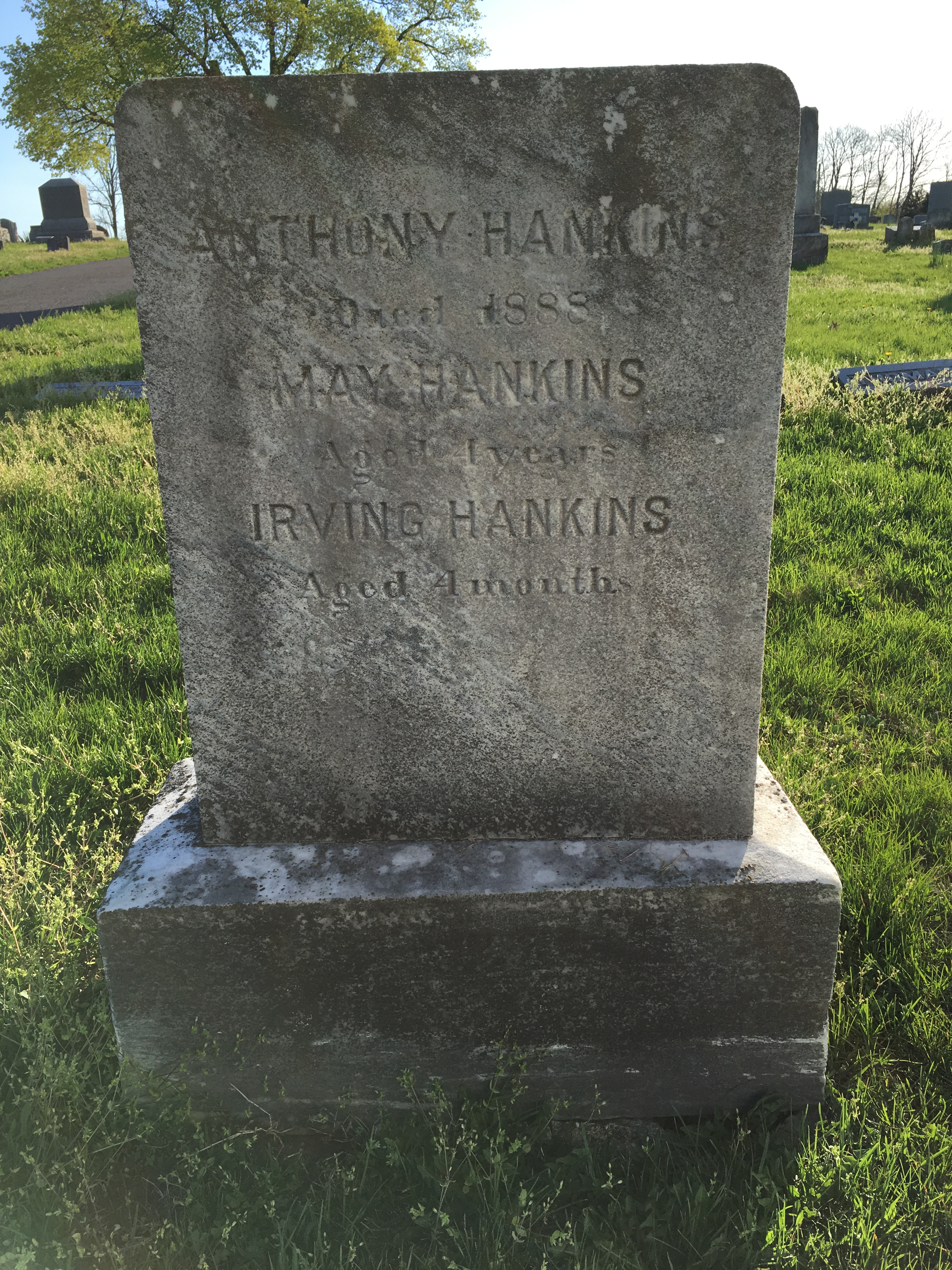 Photographed 18 April 2017.