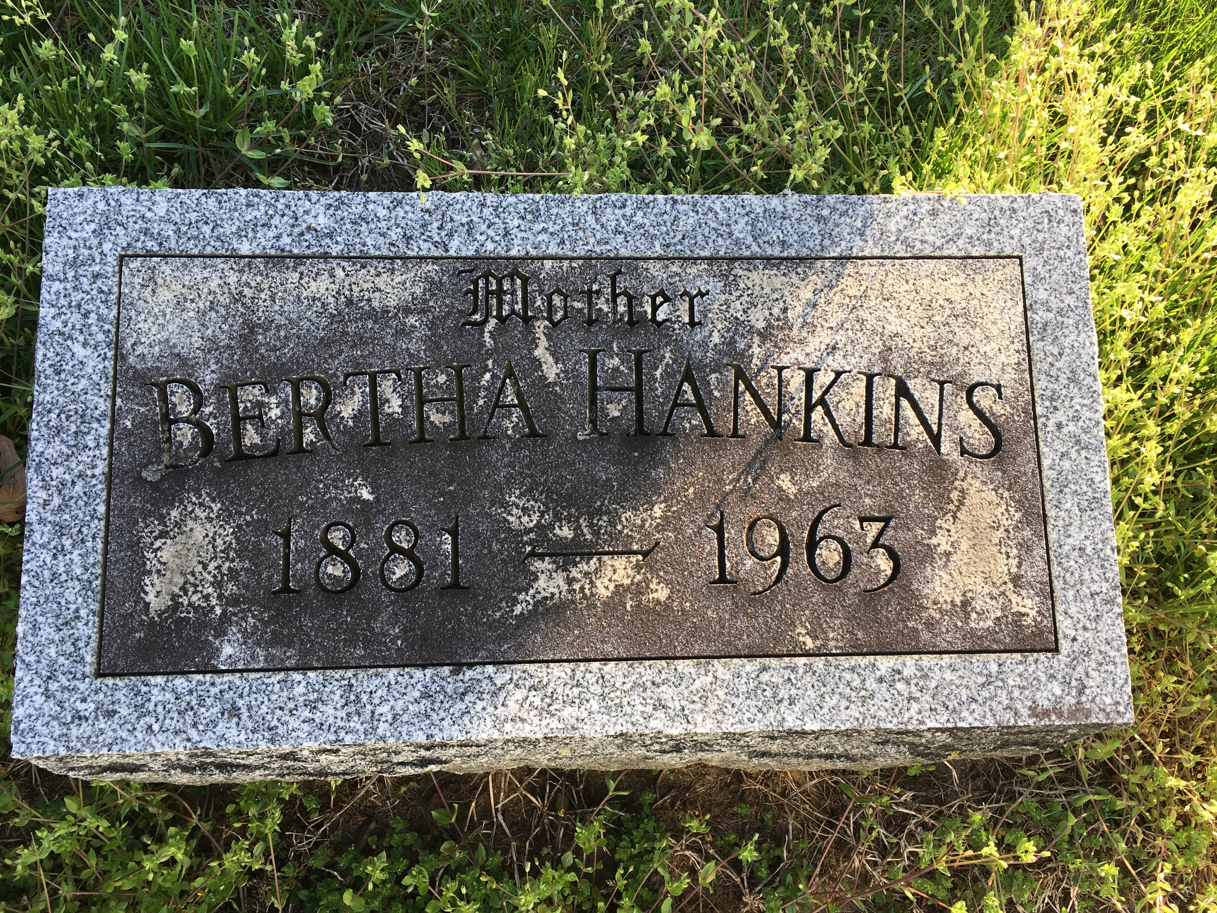 Photographed 18 April 2017.