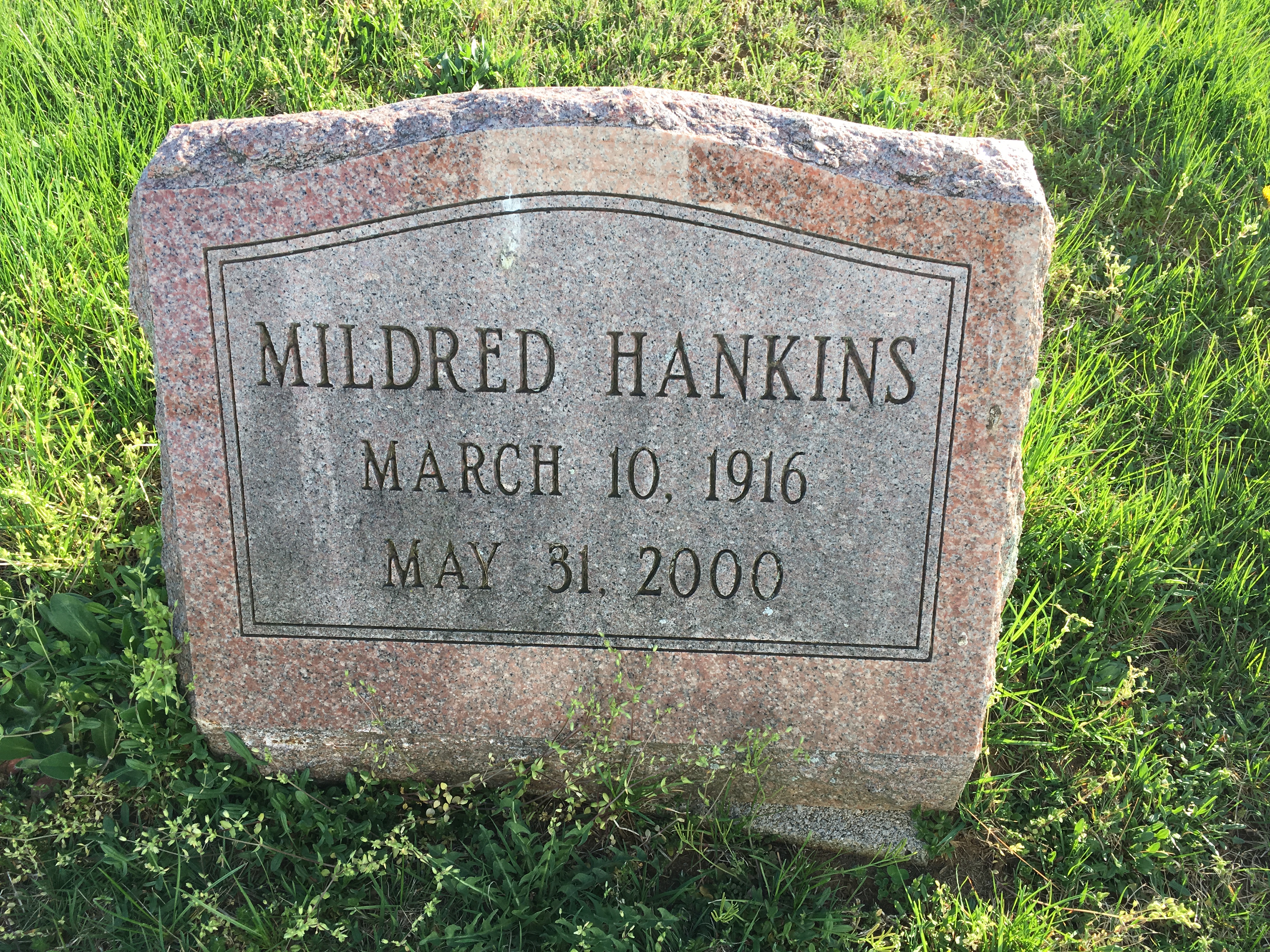 Photographed 18 April 2017.