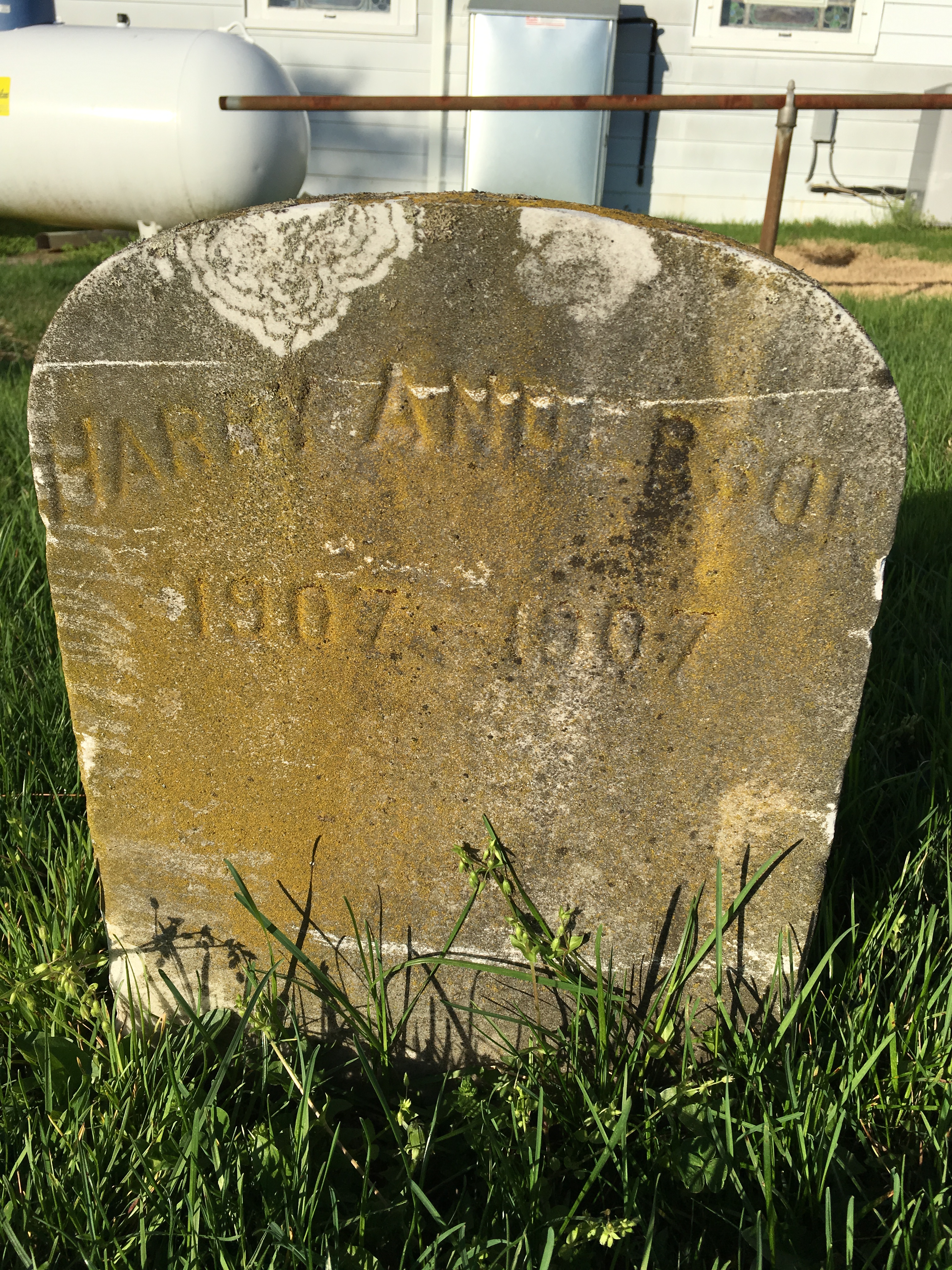 Photographed 18 April 2017.