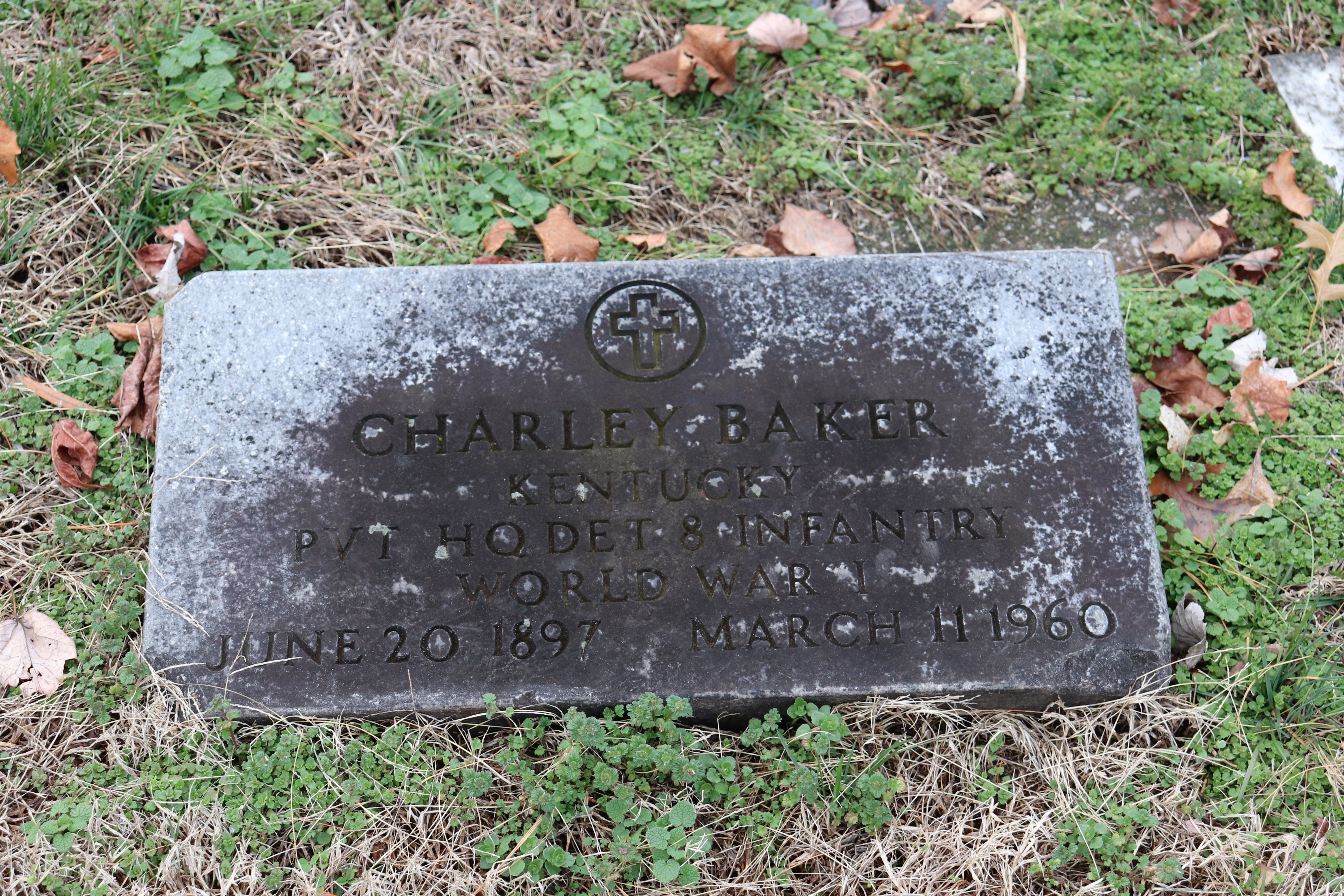 Photographed 15 Jan 2020.